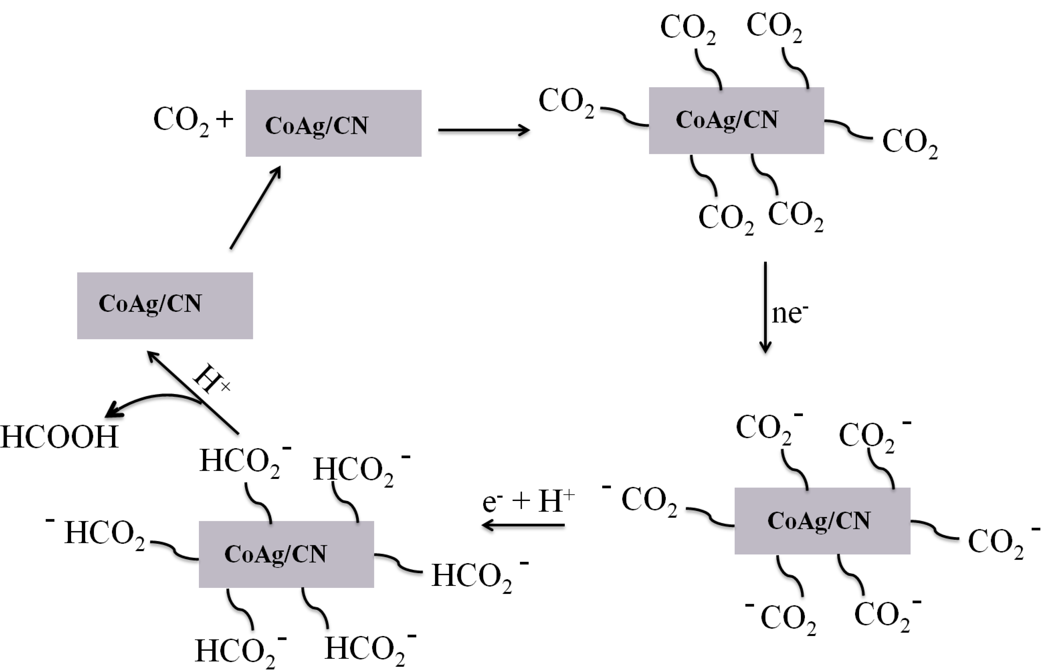 Catalysts 09 00860 g012