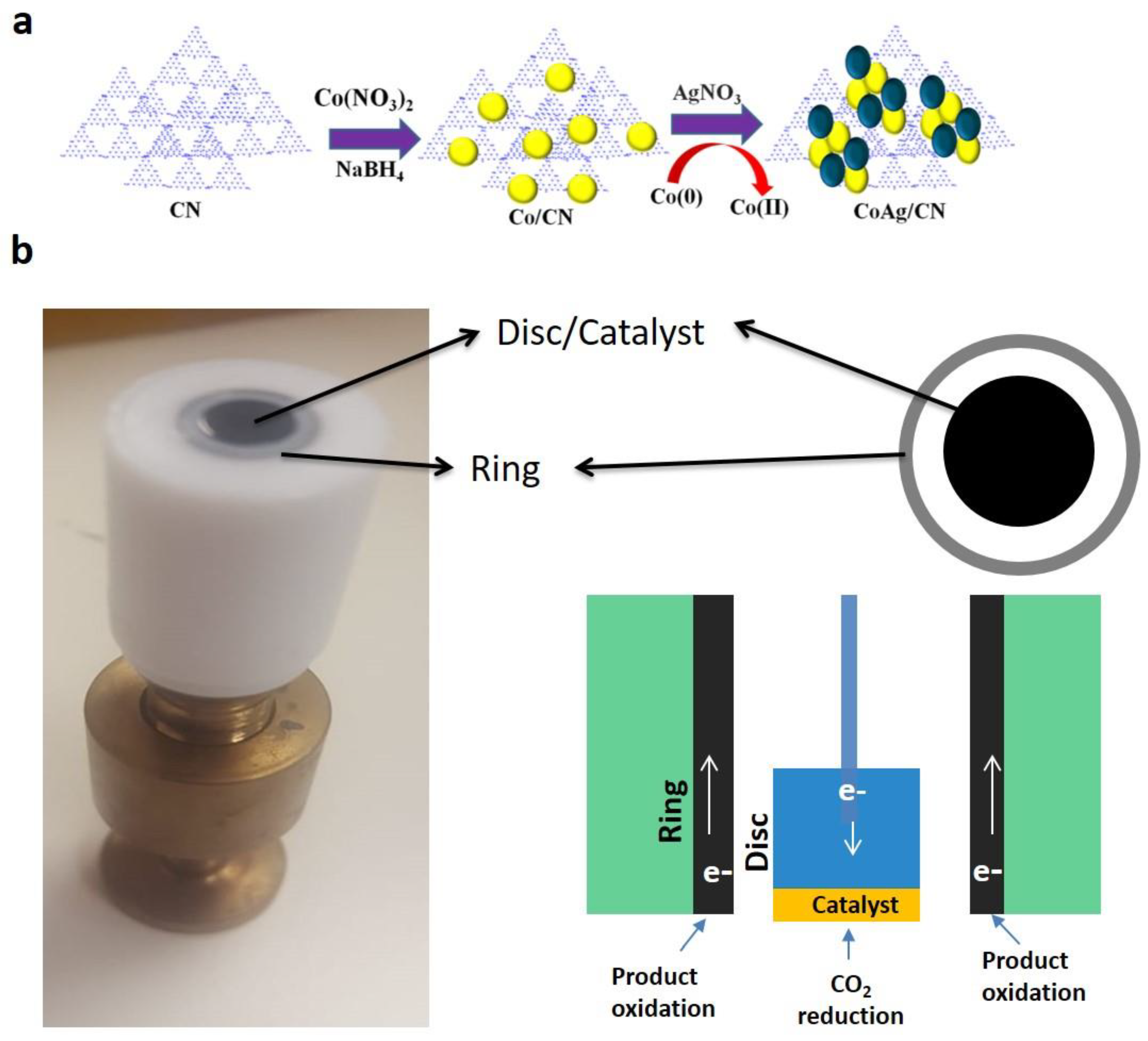 Catalysts 09 00860 sch001