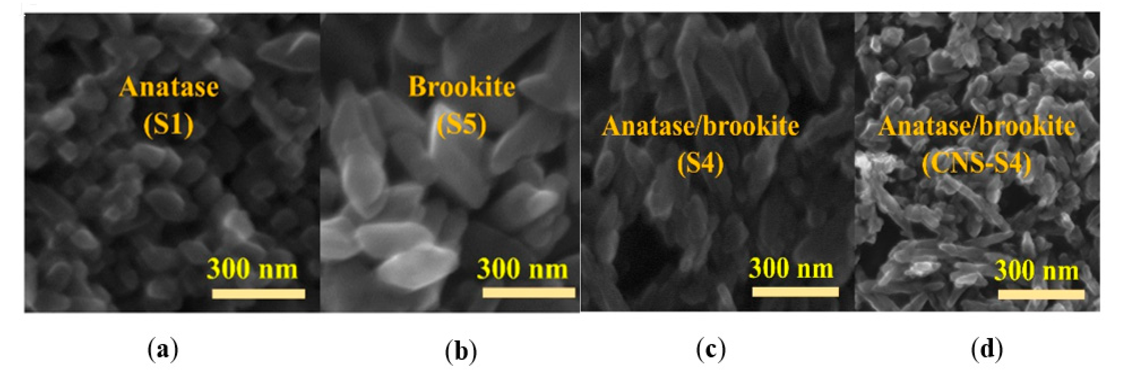 Catalysts 09 00877 g002