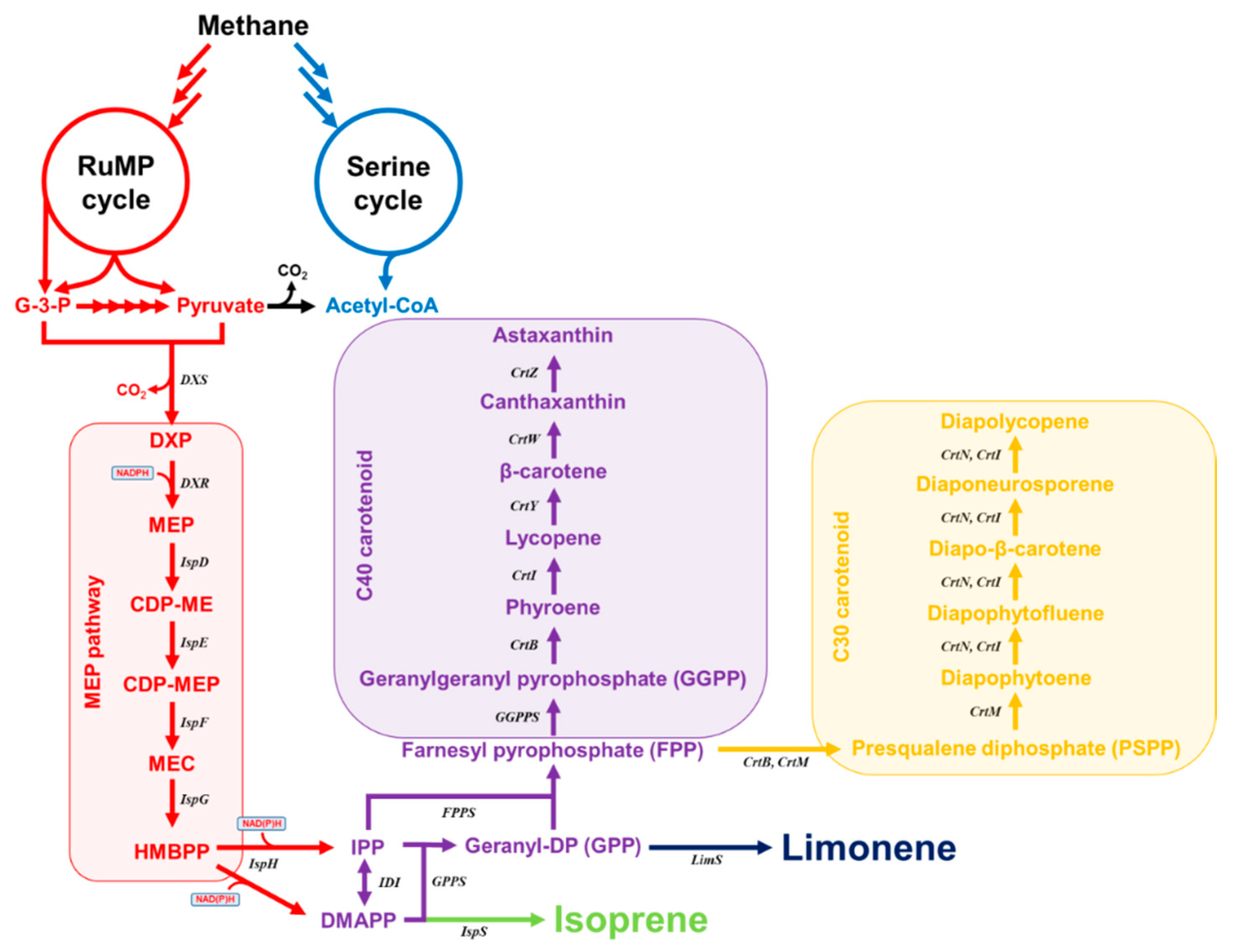 Catalysts 09 00883 g001