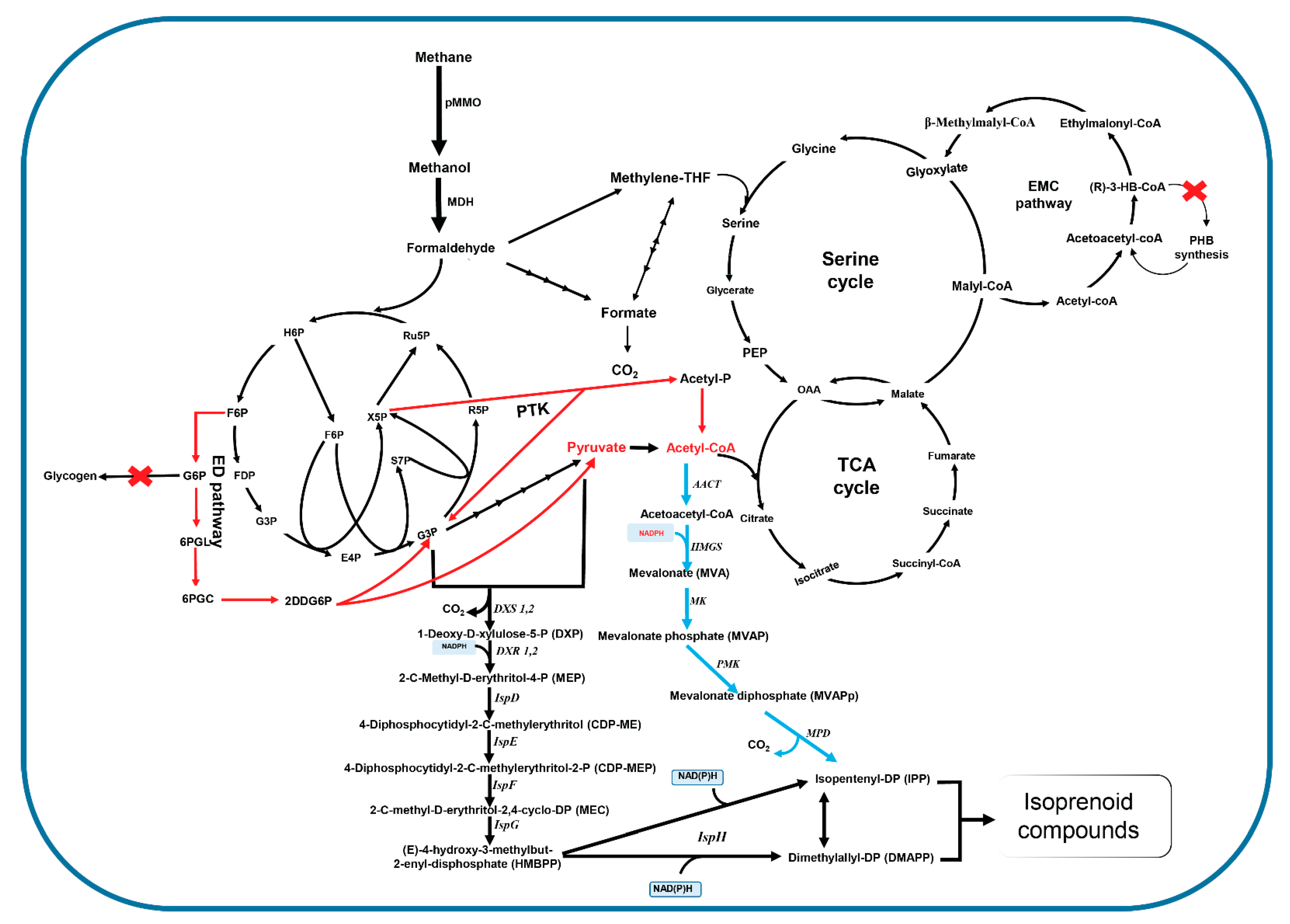 Catalysts 09 00883 g002