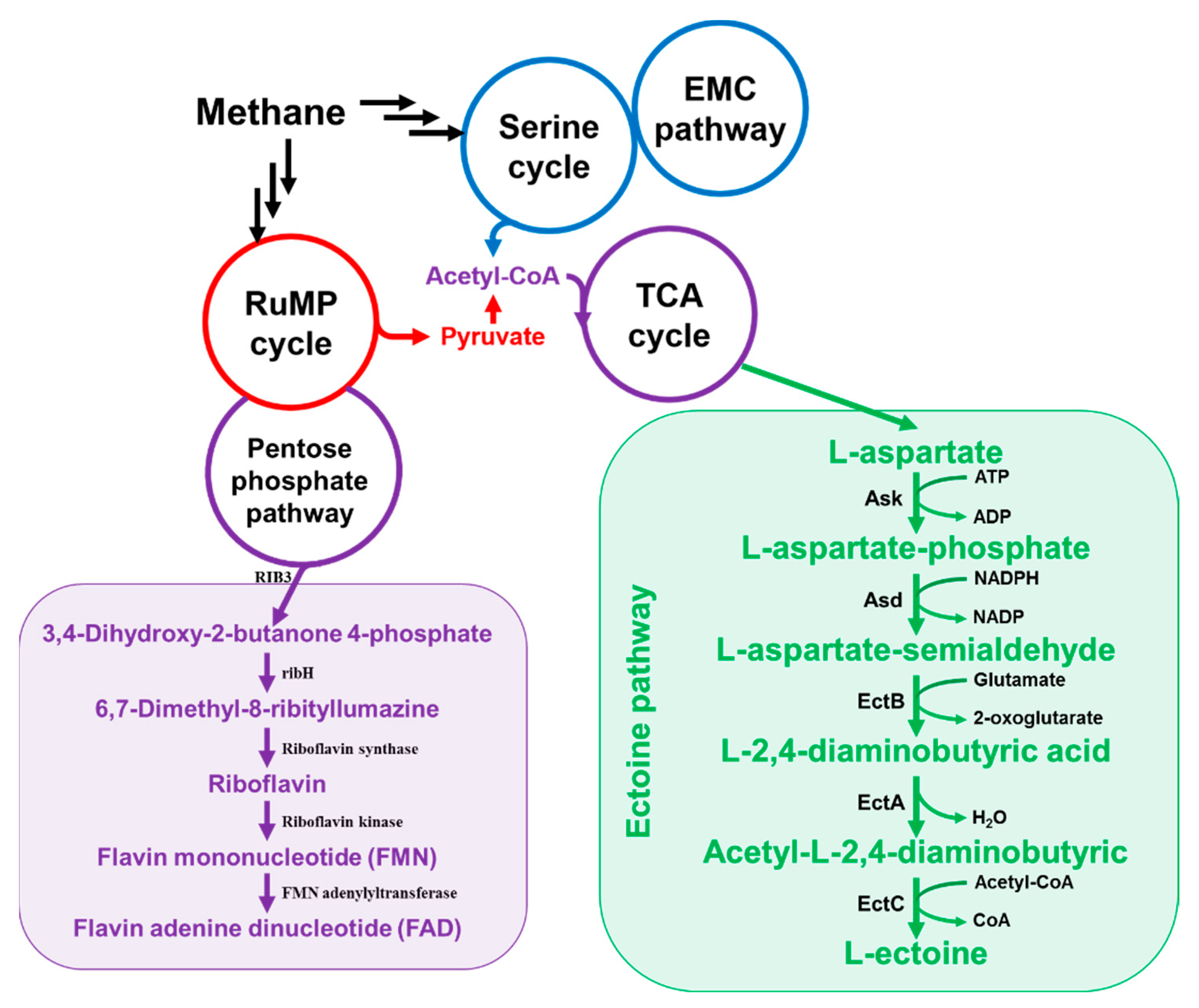 Catalysts 09 00883 g003