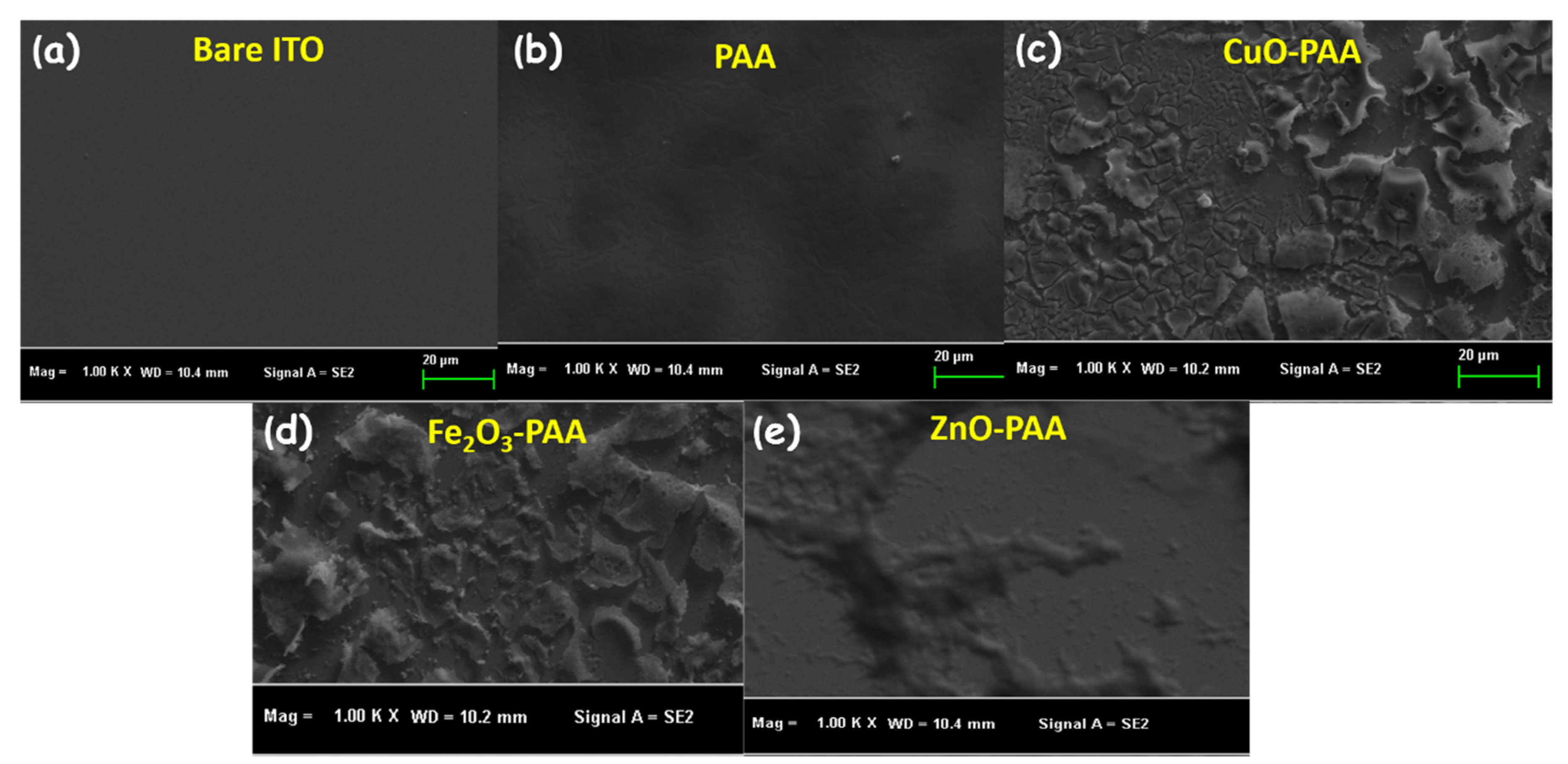 Catalysts 09 00888 g002