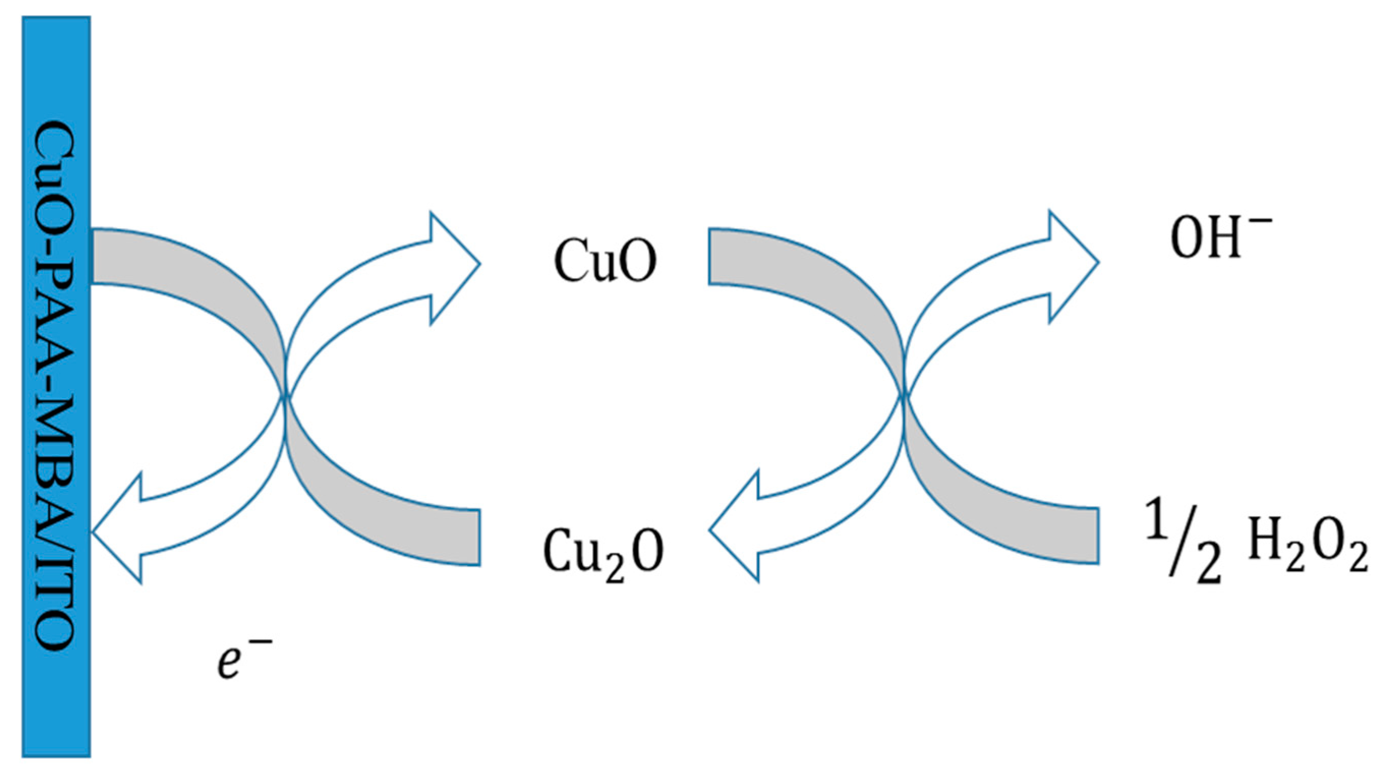 Catalysts 09 00888 g011
