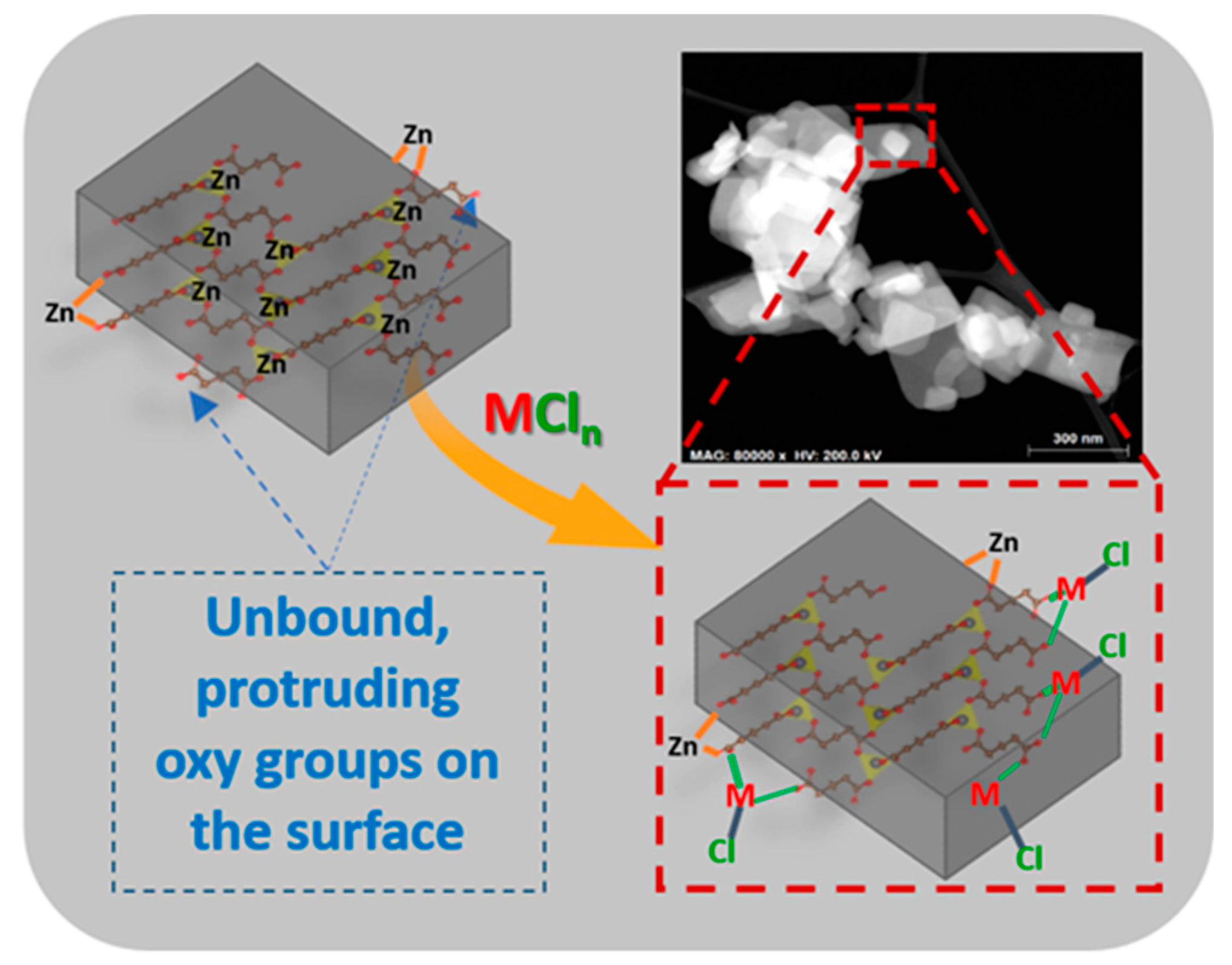 Catalysts 09 00892 g001