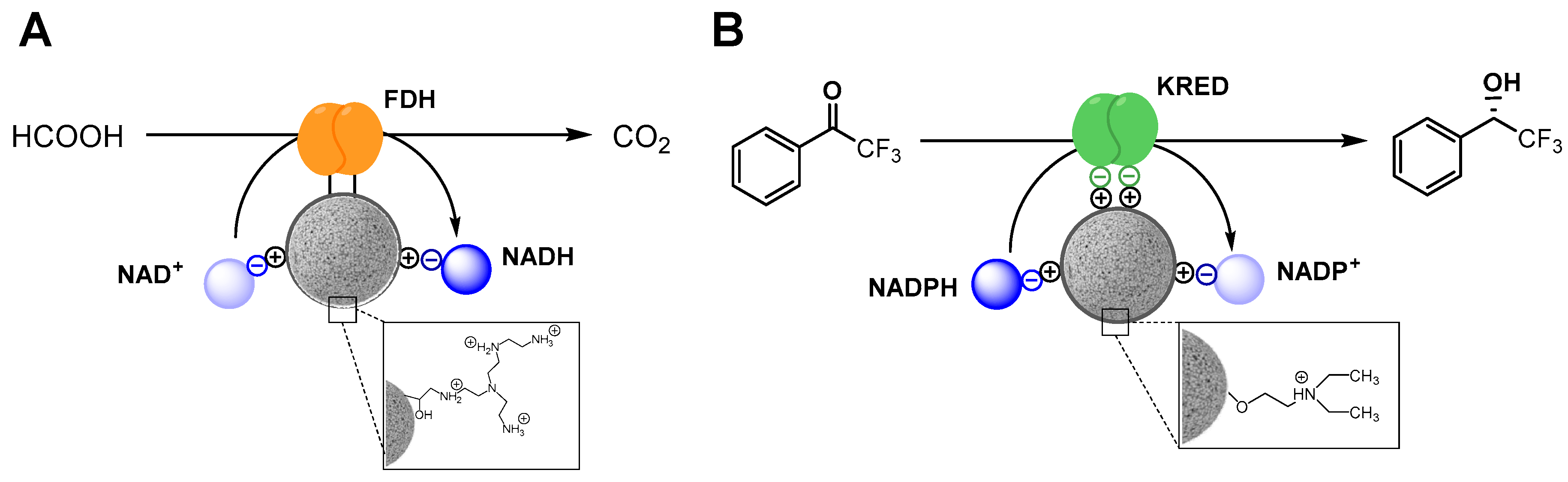 Catalysts 09 00896 sch001