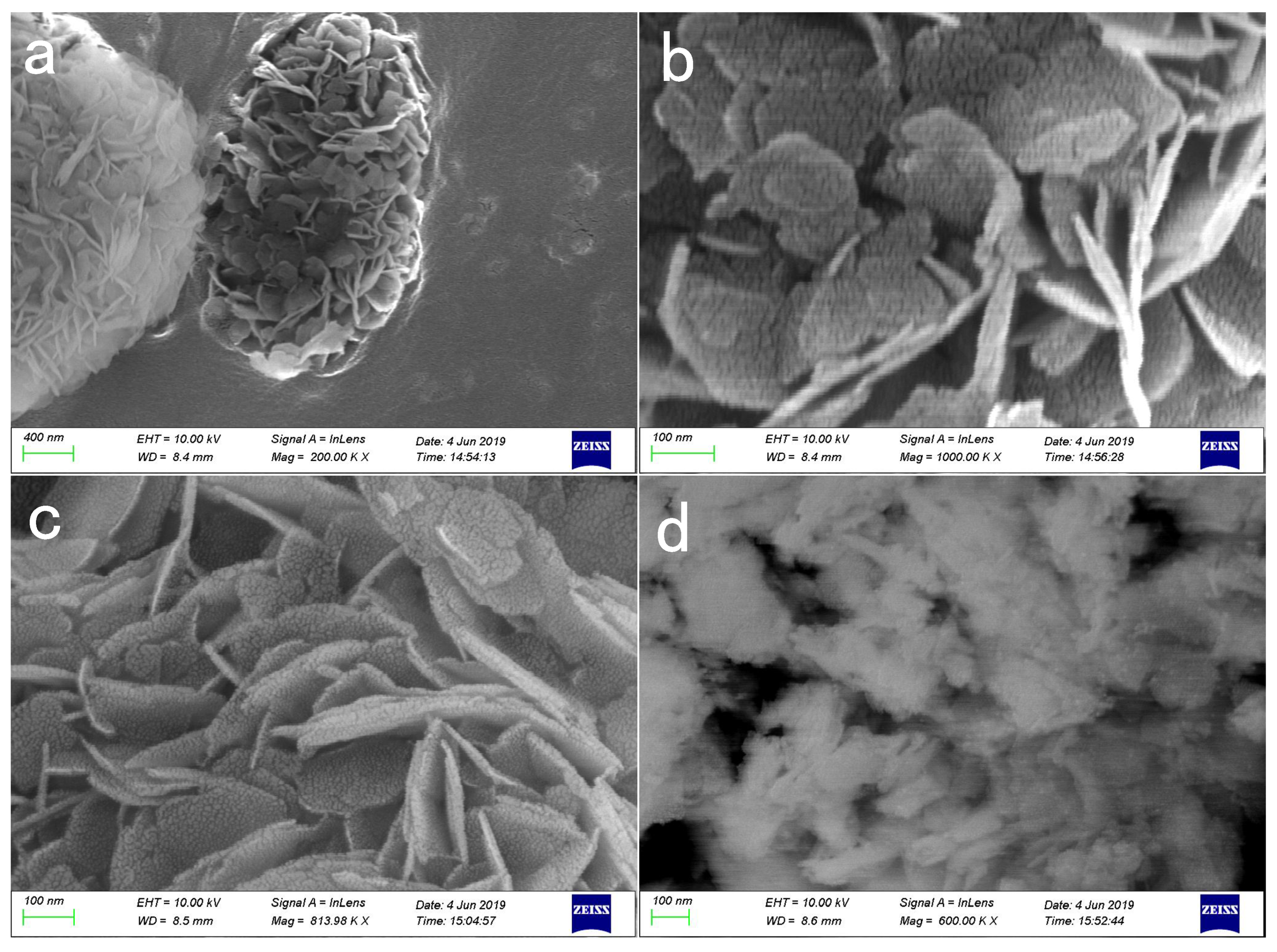Catalysts 09 00902 g005