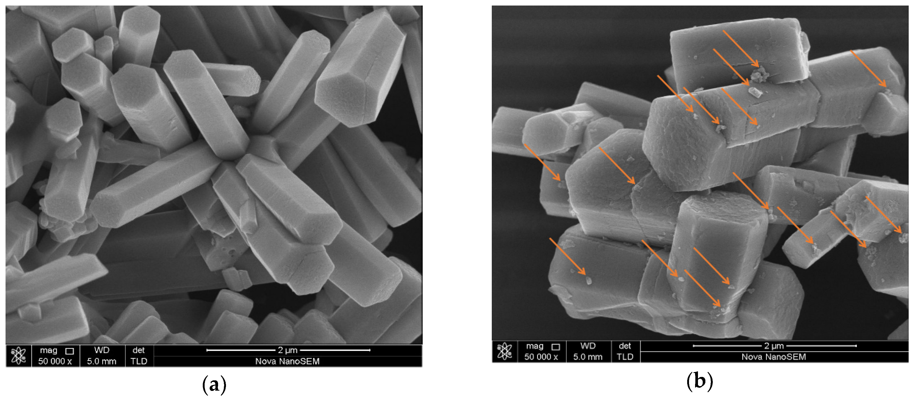 Catalysts 09 00916 g001a Catalysts 09 00916 g001a