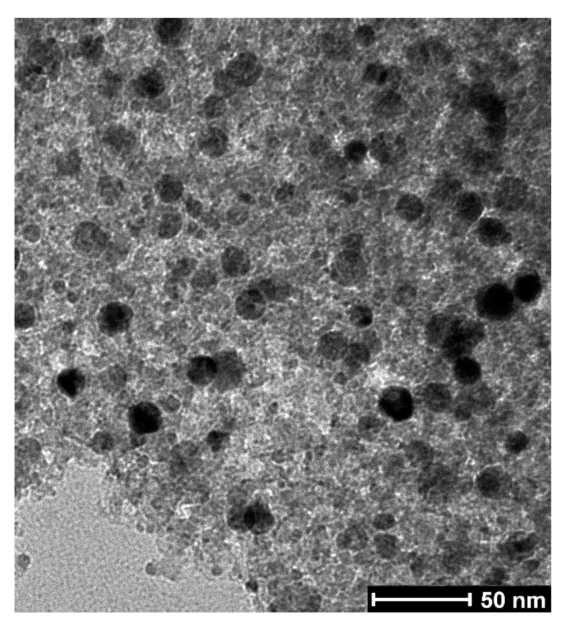 Catalysts 09 00920 g006