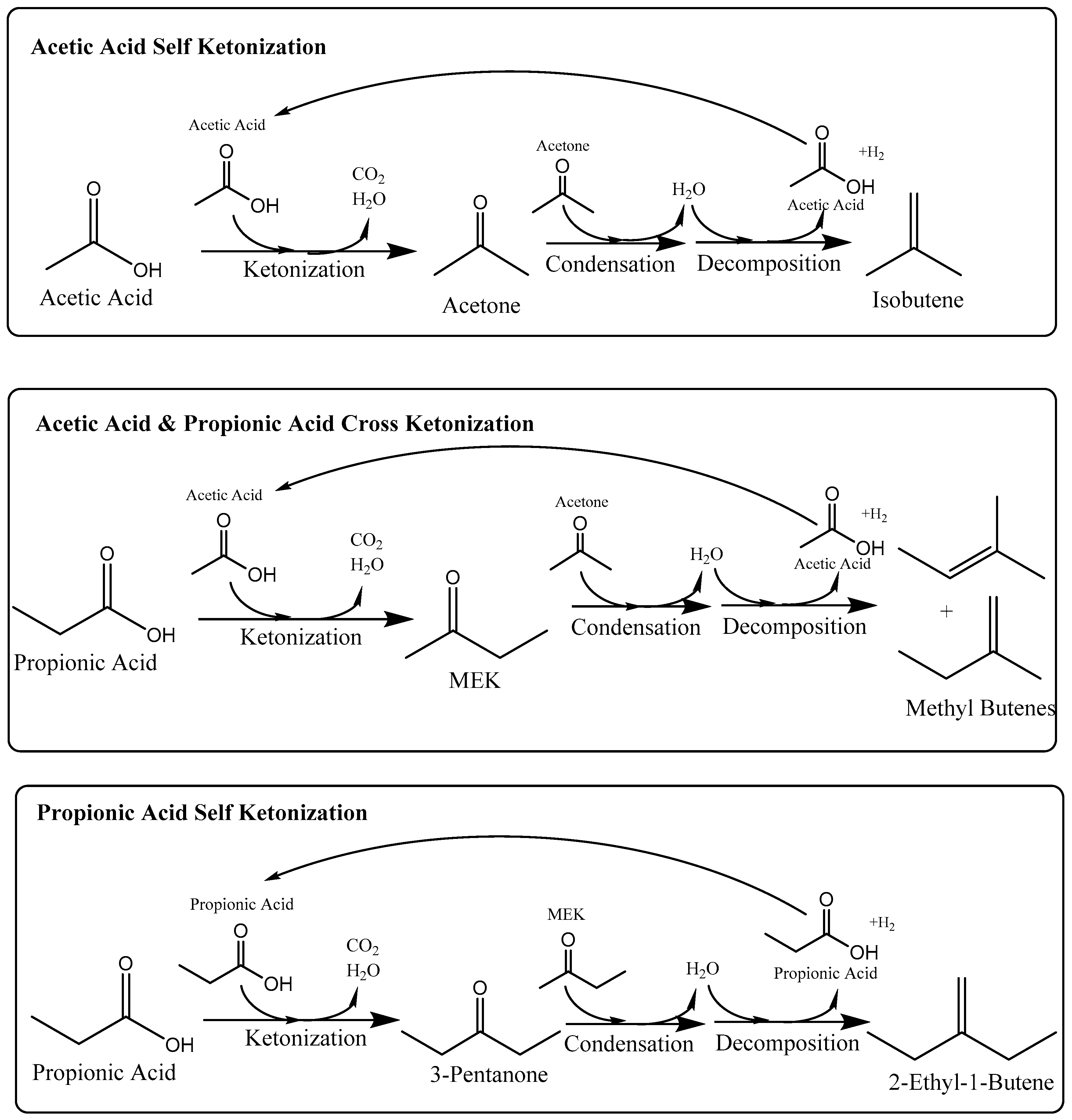 Catalysts 09 00923 sch002 Catalysts 09 00923 sch002