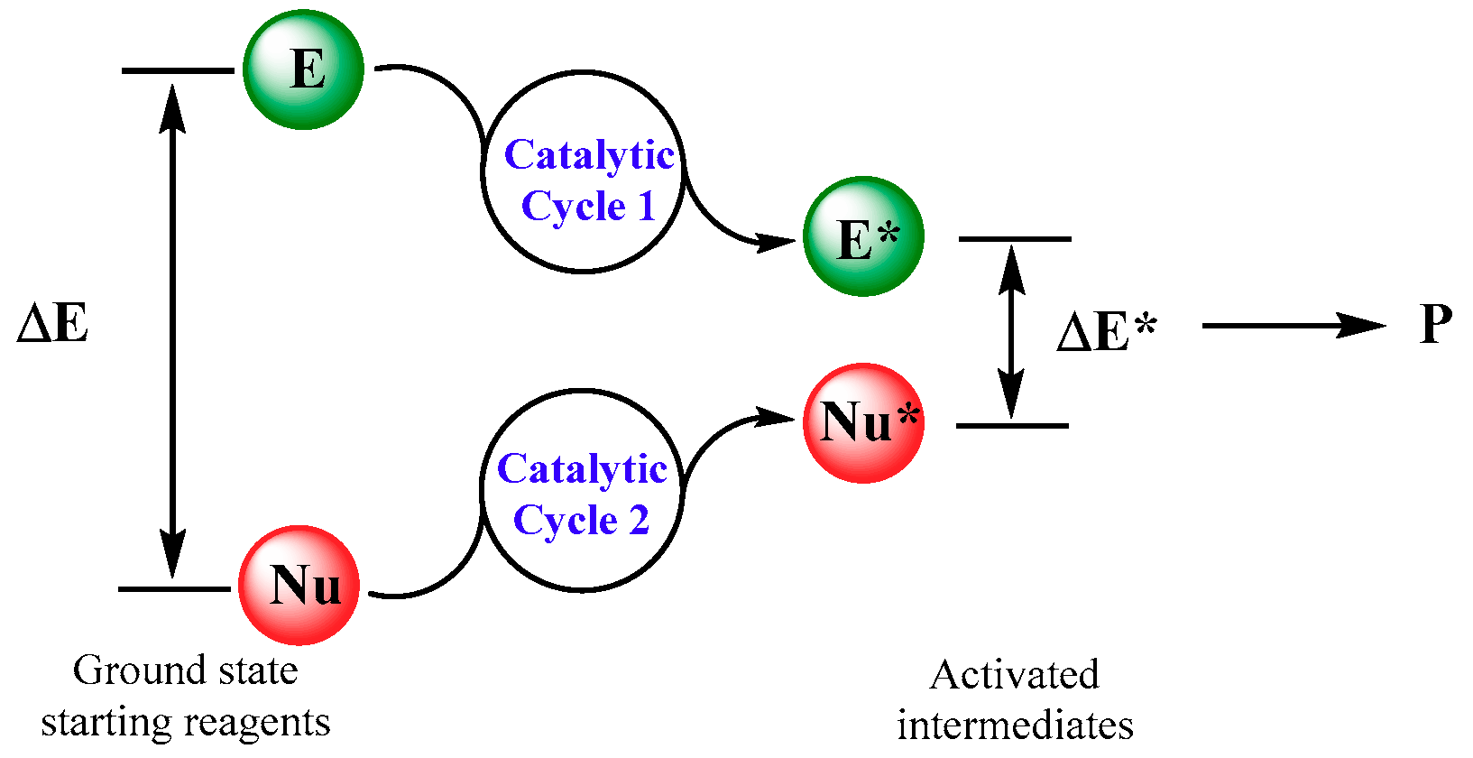 Catalysts 09 00928 g002 Catalysts 09 00928 g002