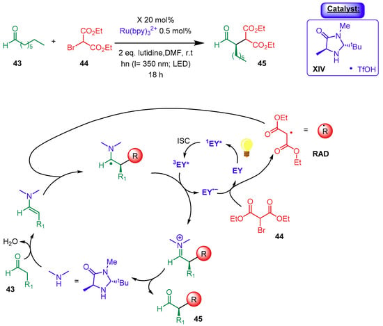 Catalysts Free Full Text Organocatalysis And Beyond Activating Reactions With Two Catalytic Species Html