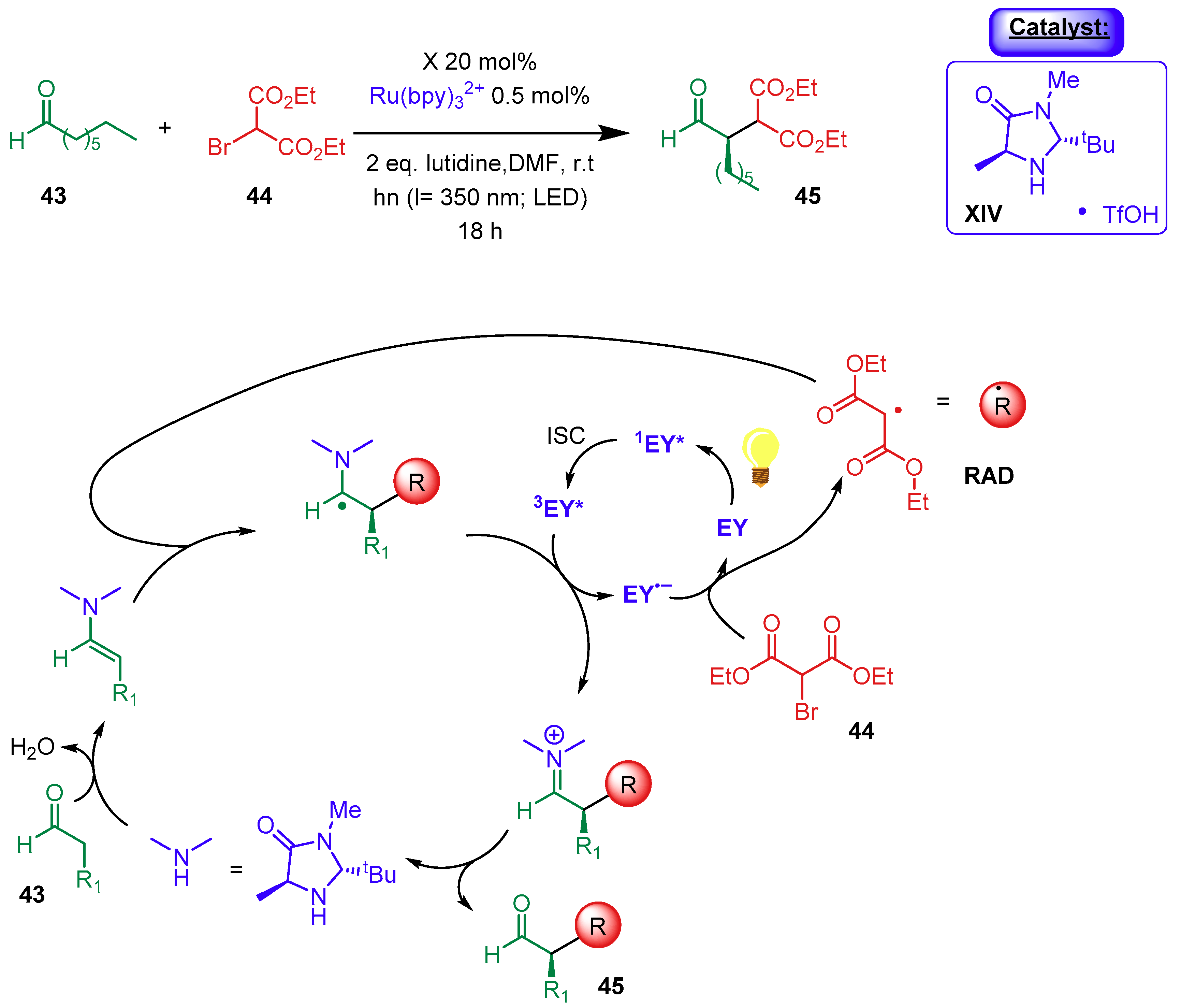Catalysts 09 00928 sch017 Catalysts 09 00928 sch017