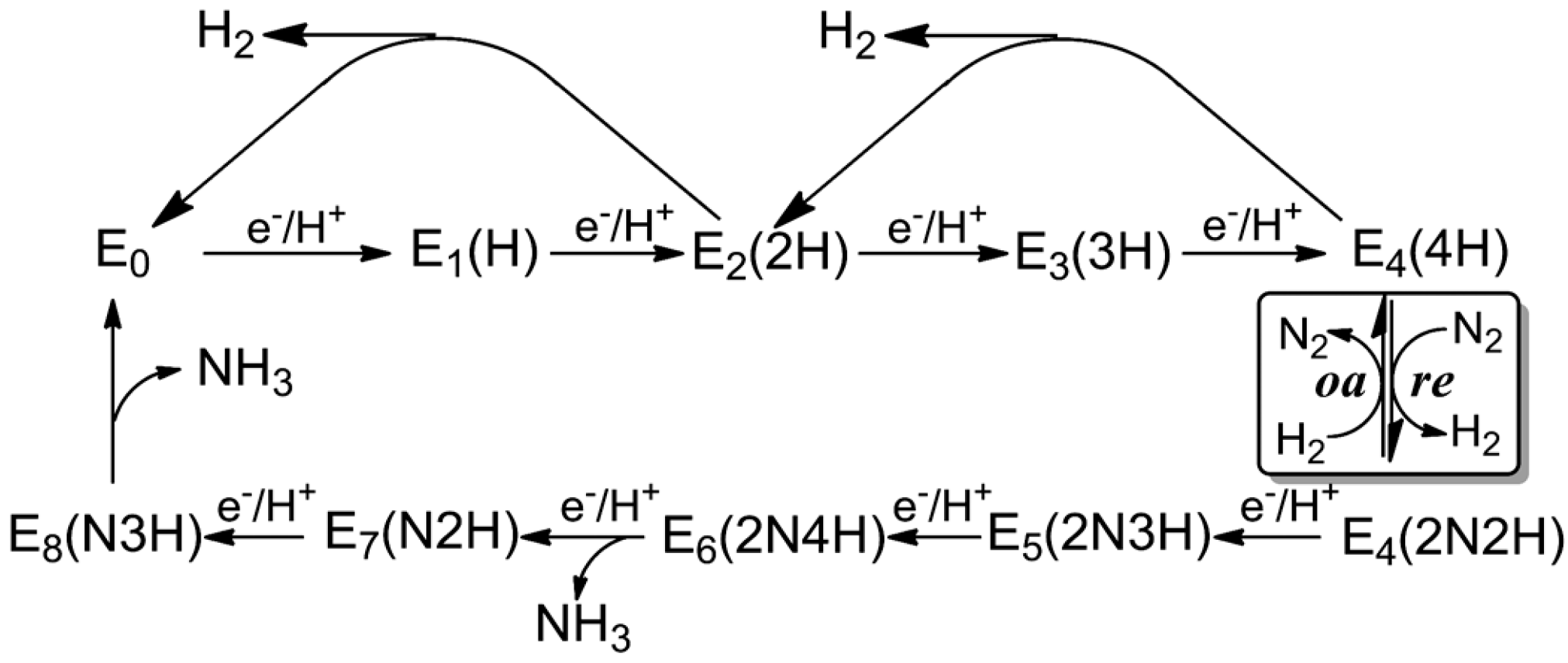 Catalysts 09 00939 g002 Catalysts 09 00939 g002