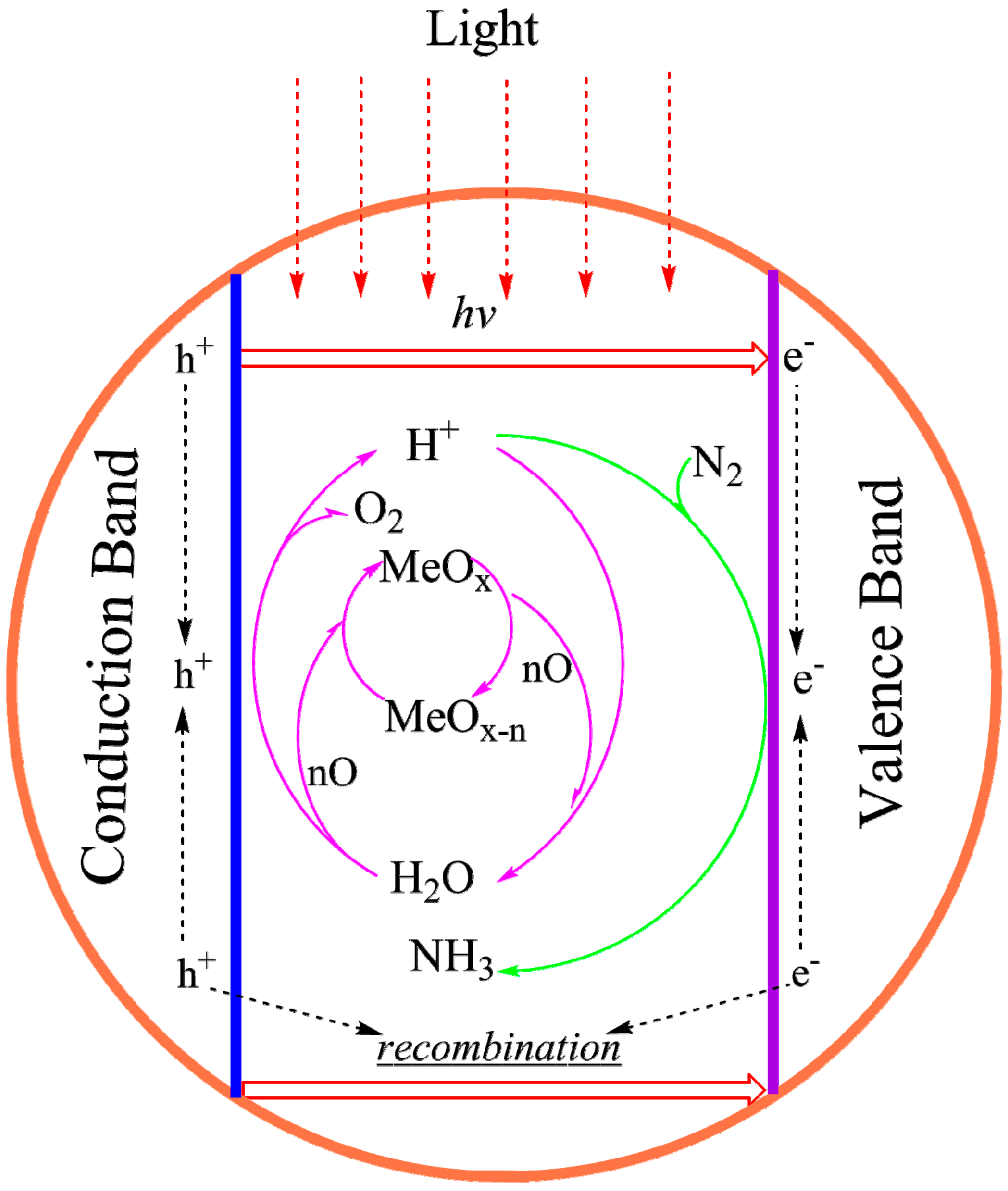 Catalysts 09 00939 g005 Catalysts 09 00939 g005