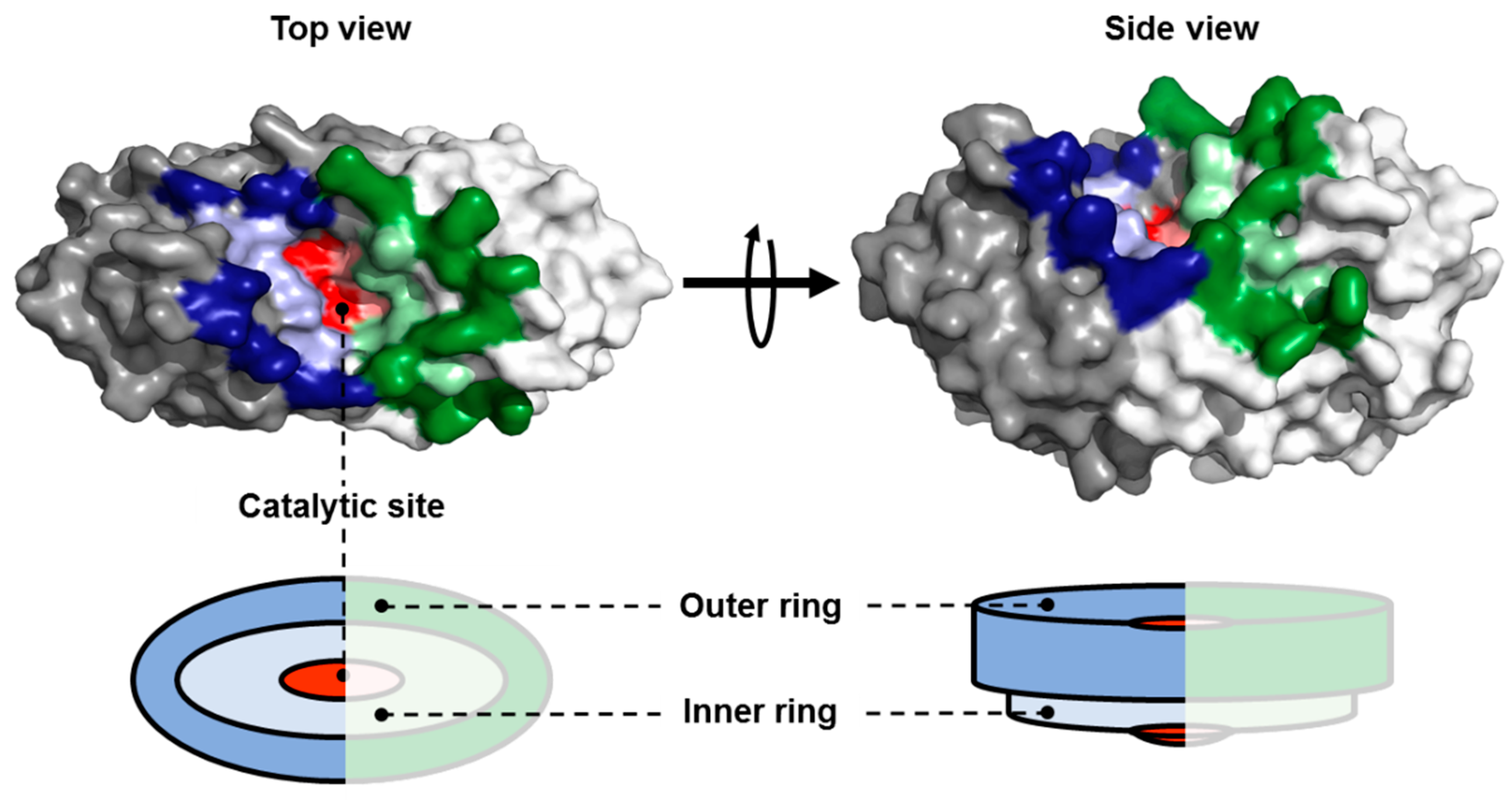 Catalysts 09 00941 g001 Catalysts 09 00941 g001