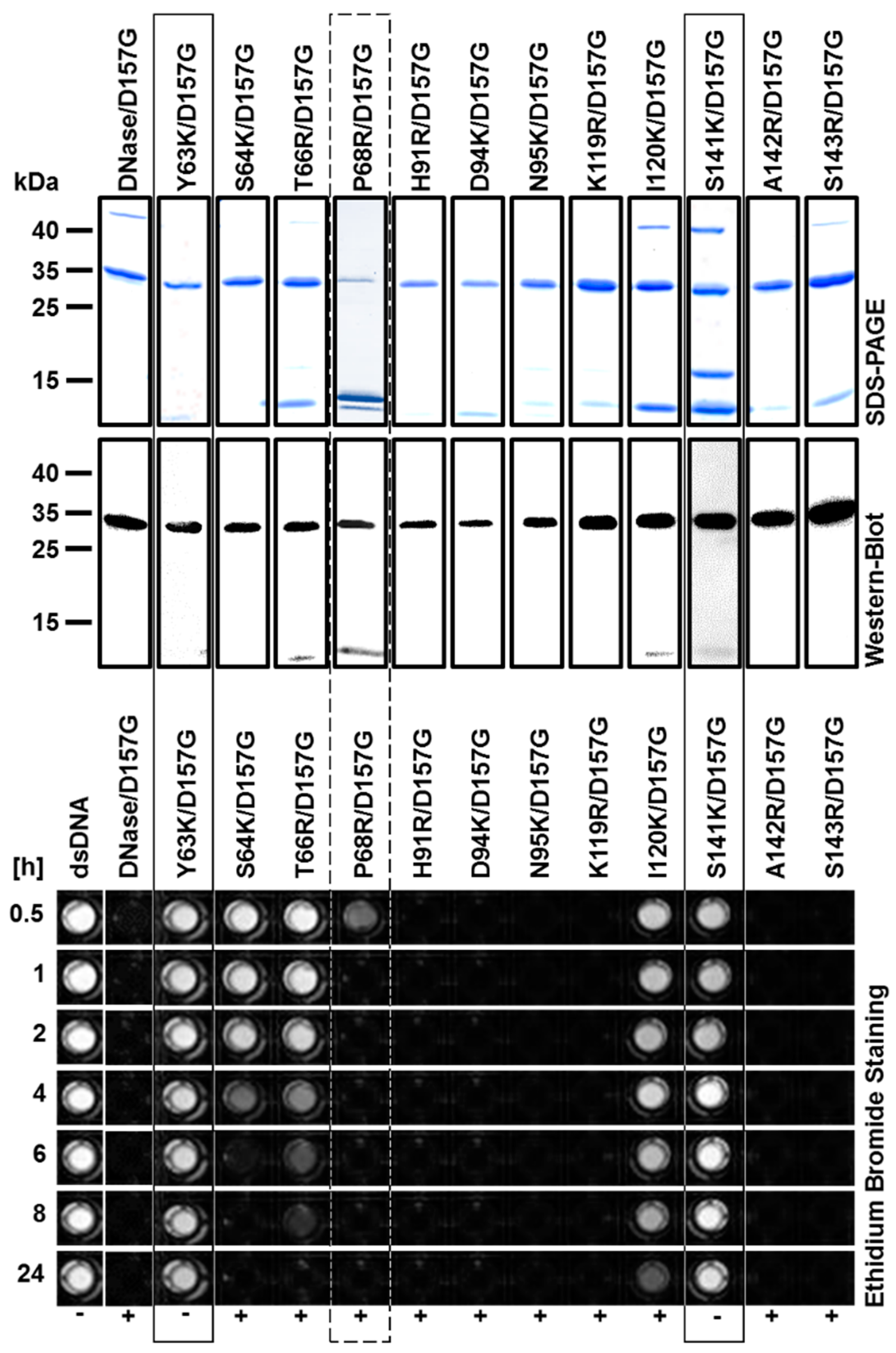Catalysts 09 00941 g002 Catalysts 09 00941 g002