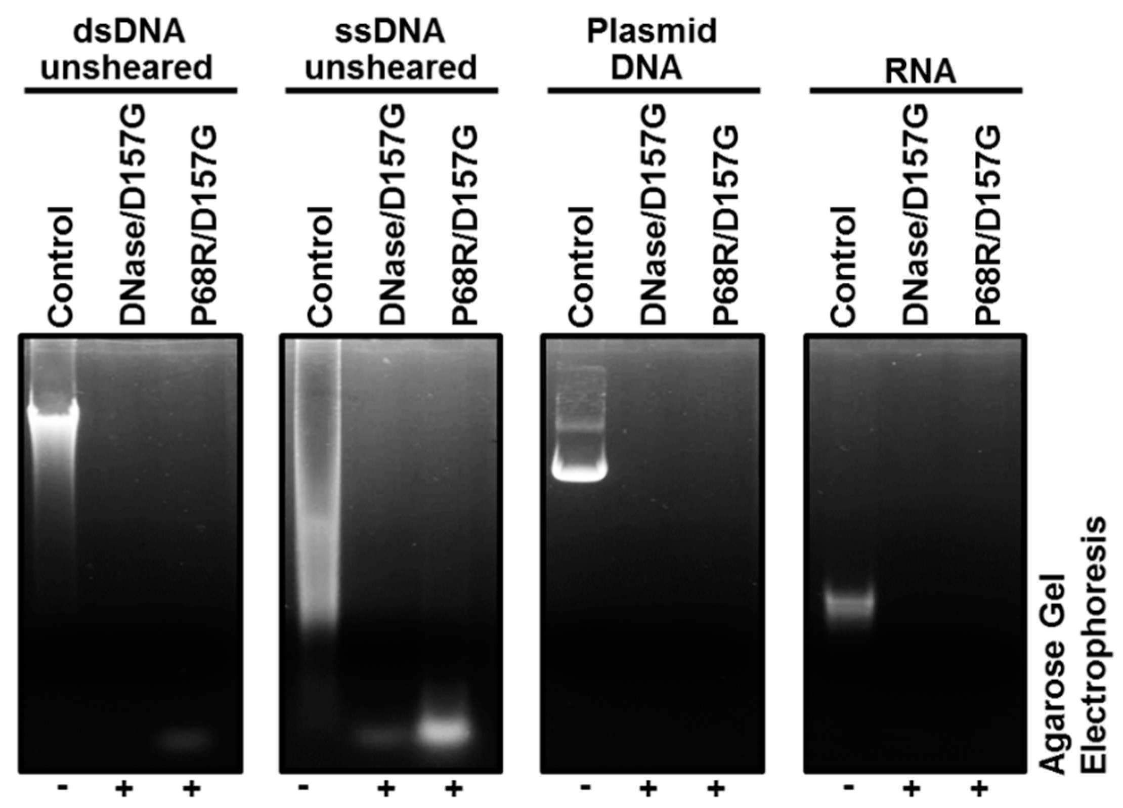 Catalysts 09 00941 g005 Catalysts 09 00941 g005