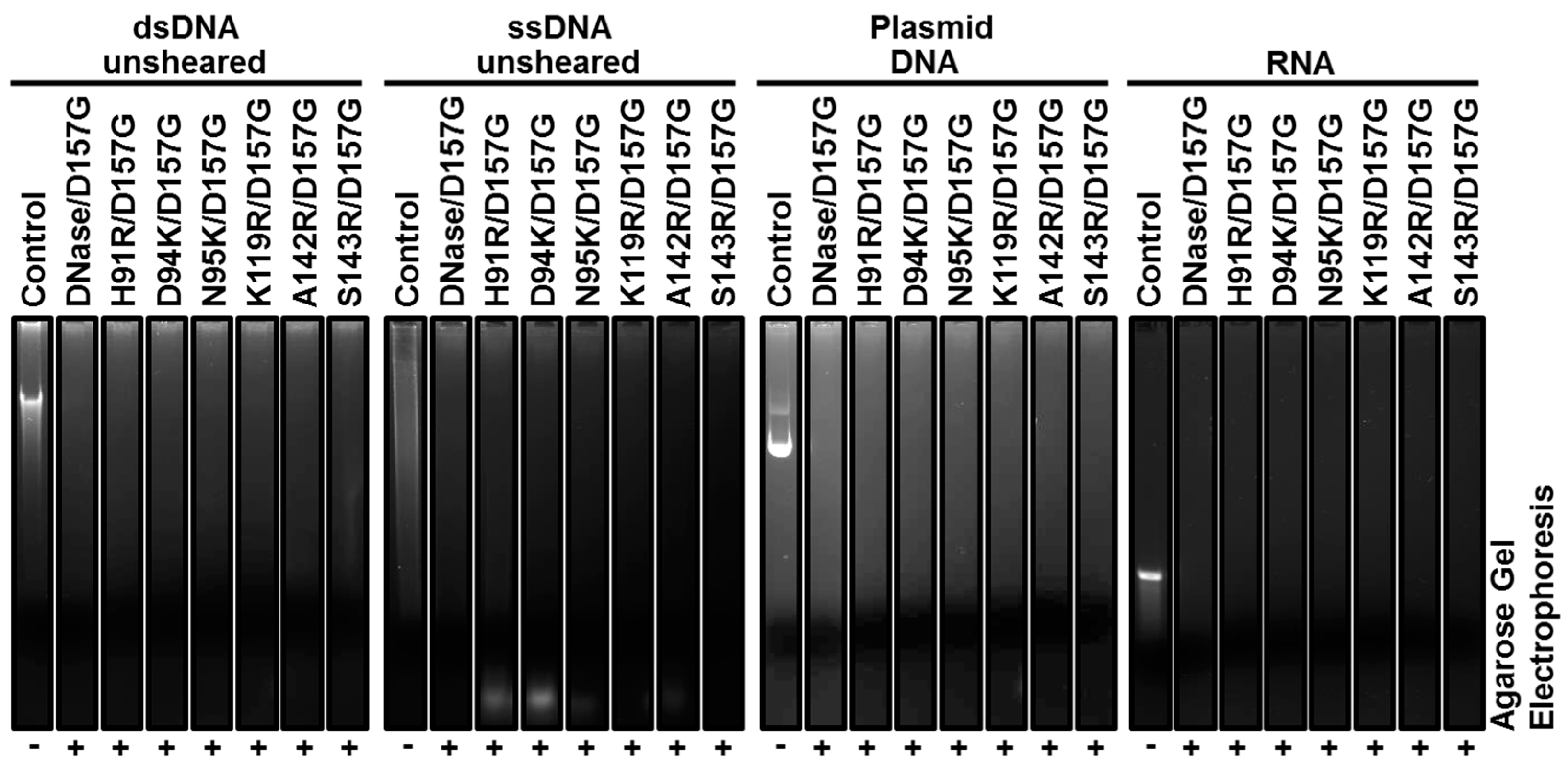 Catalysts 09 00941 g0a3 Catalysts 09 00941 g0a3