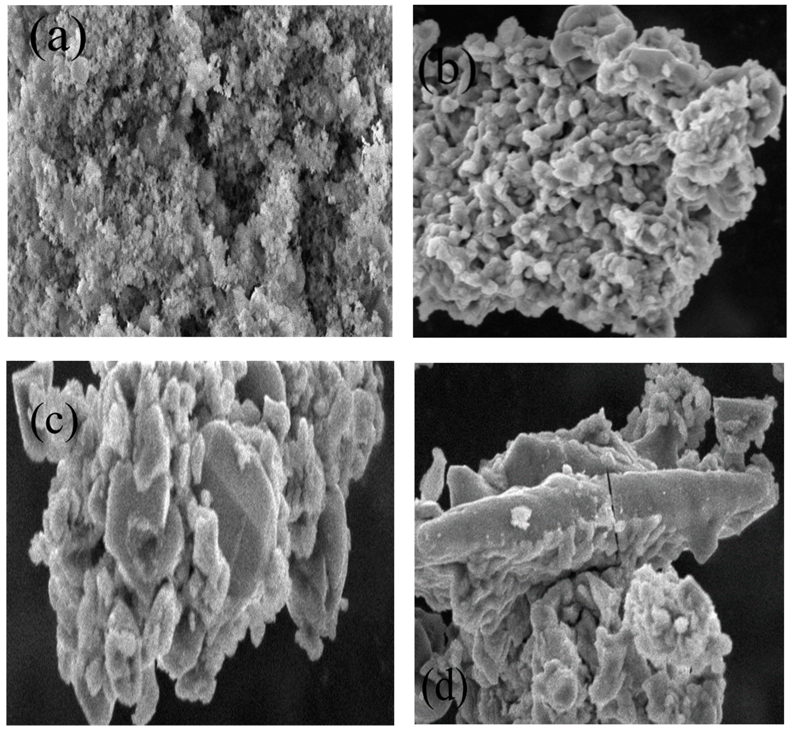 Catalysts 09 00943 g002 Catalysts 09 00943 g002