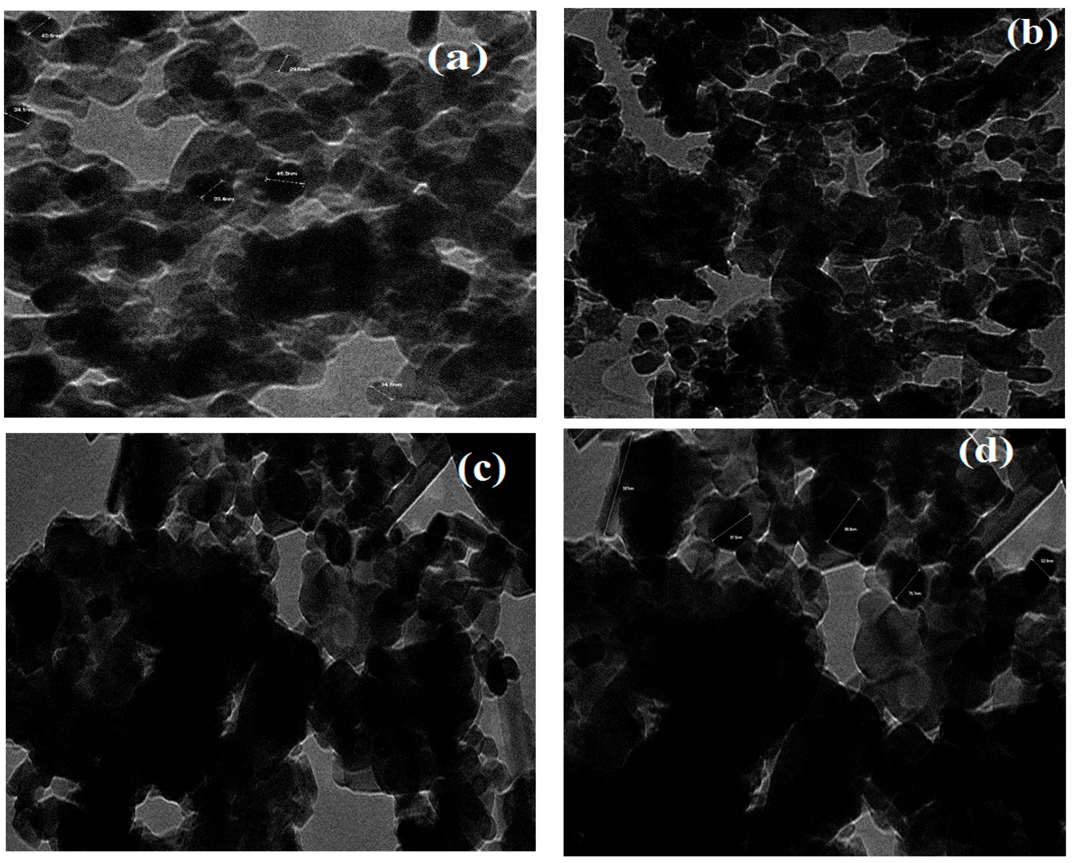 Catalysts 09 00943 g003 Catalysts 09 00943 g003