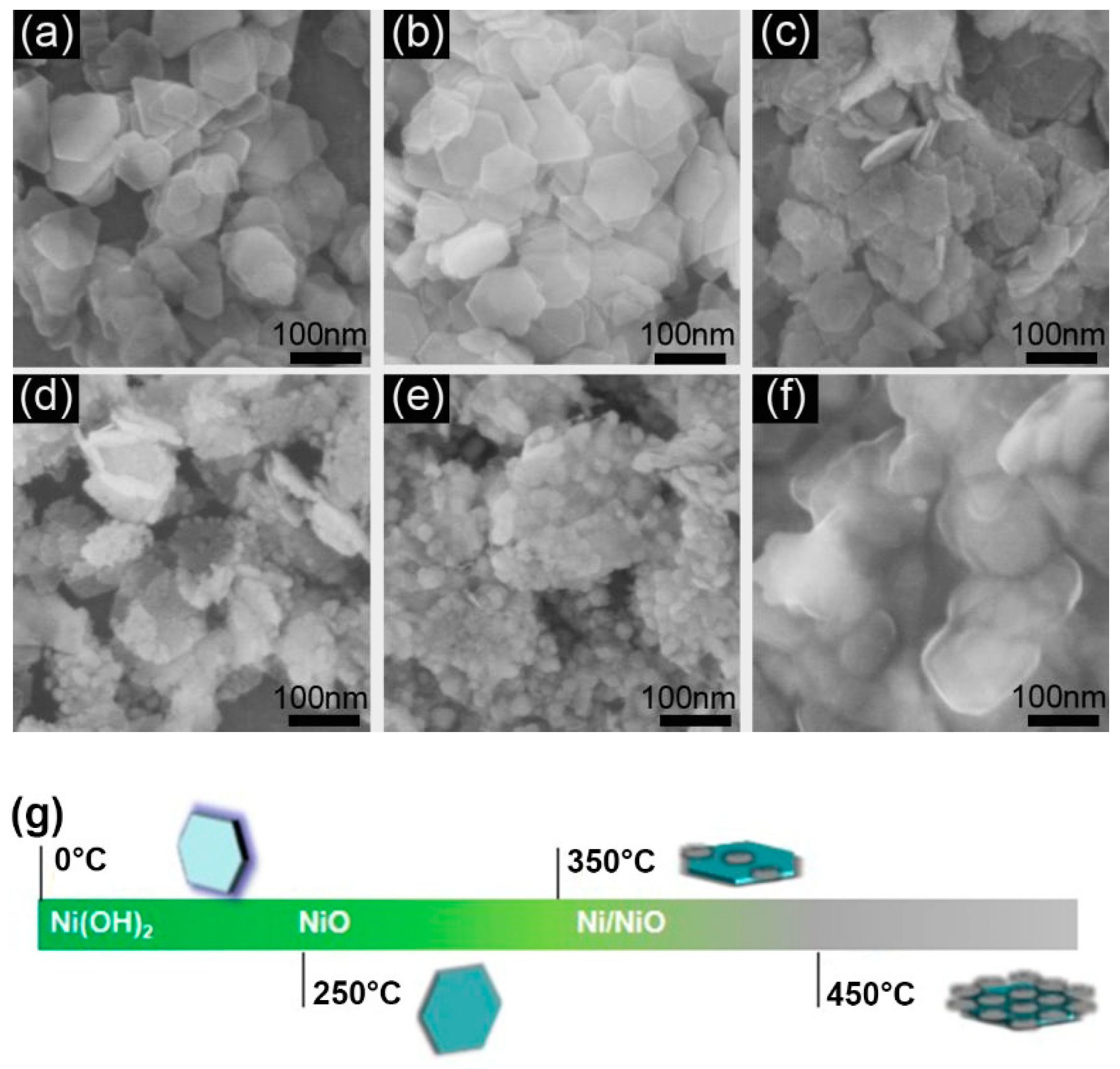 Catalysts 09 00944 g002
