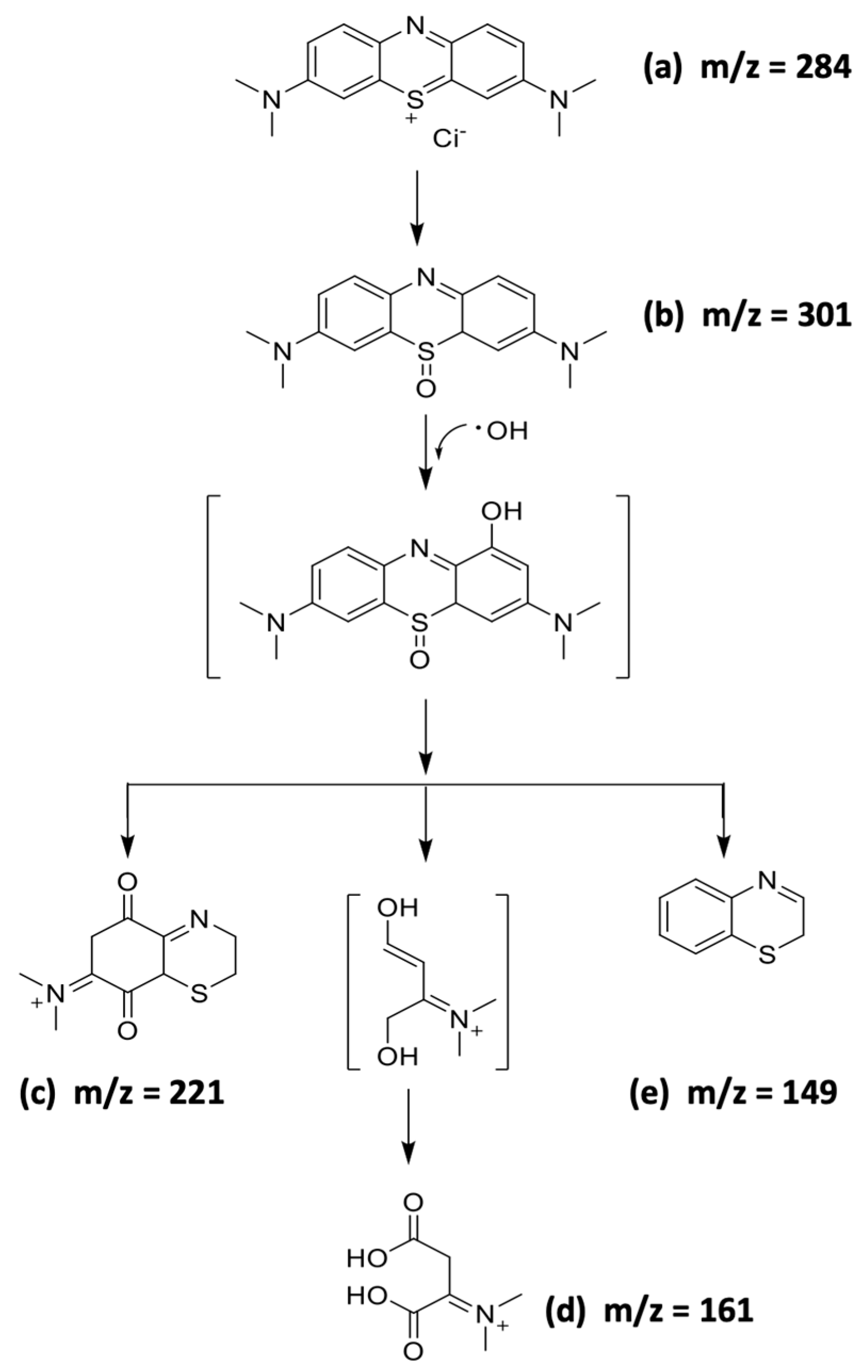 Catalysts 09 00948 sch002 Catalysts 09 00948 sch002