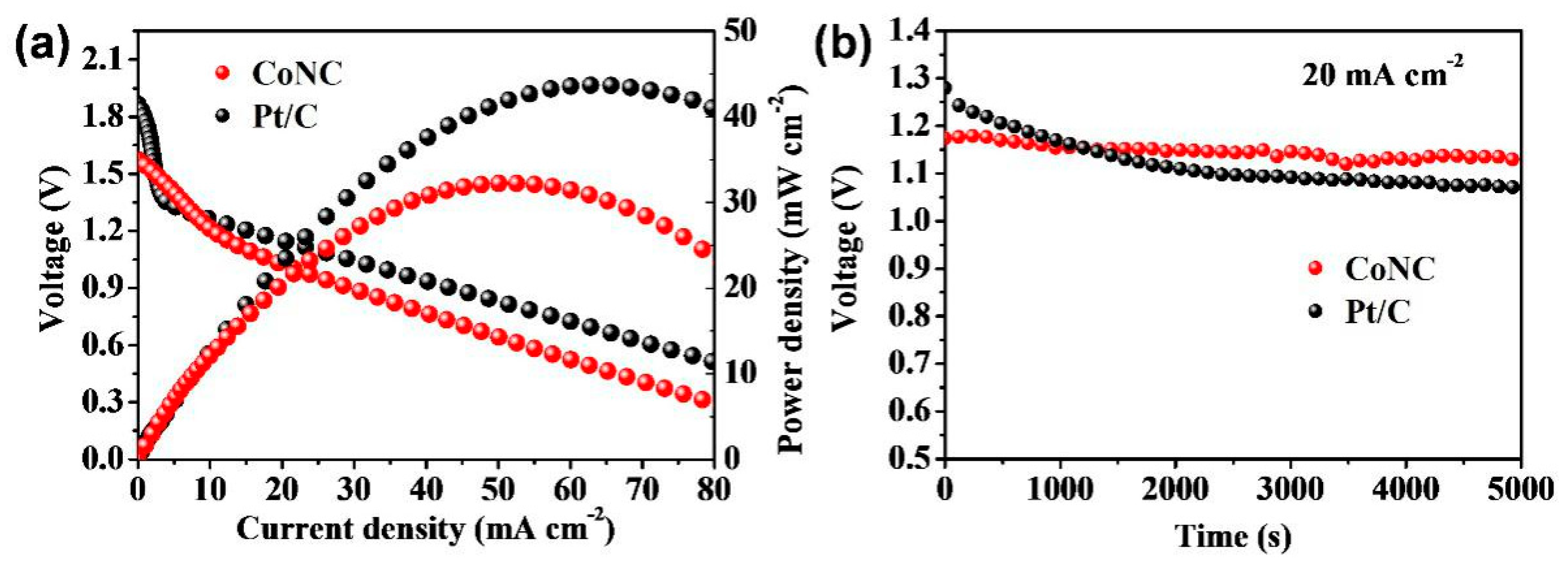 Catalysts 09 00954 g005