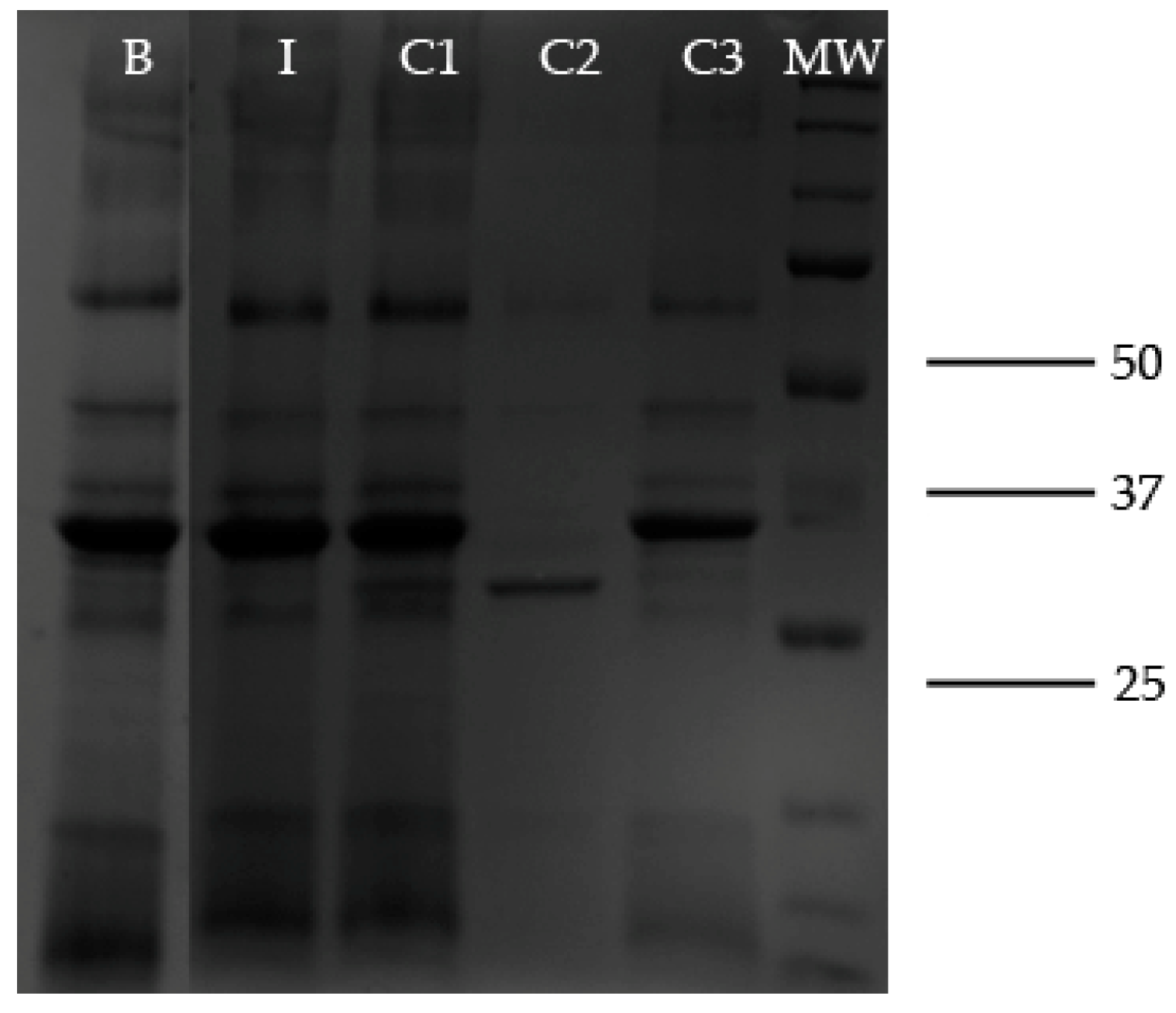 Catalysts 09 00961 g006 Catalysts 09 00961 g006