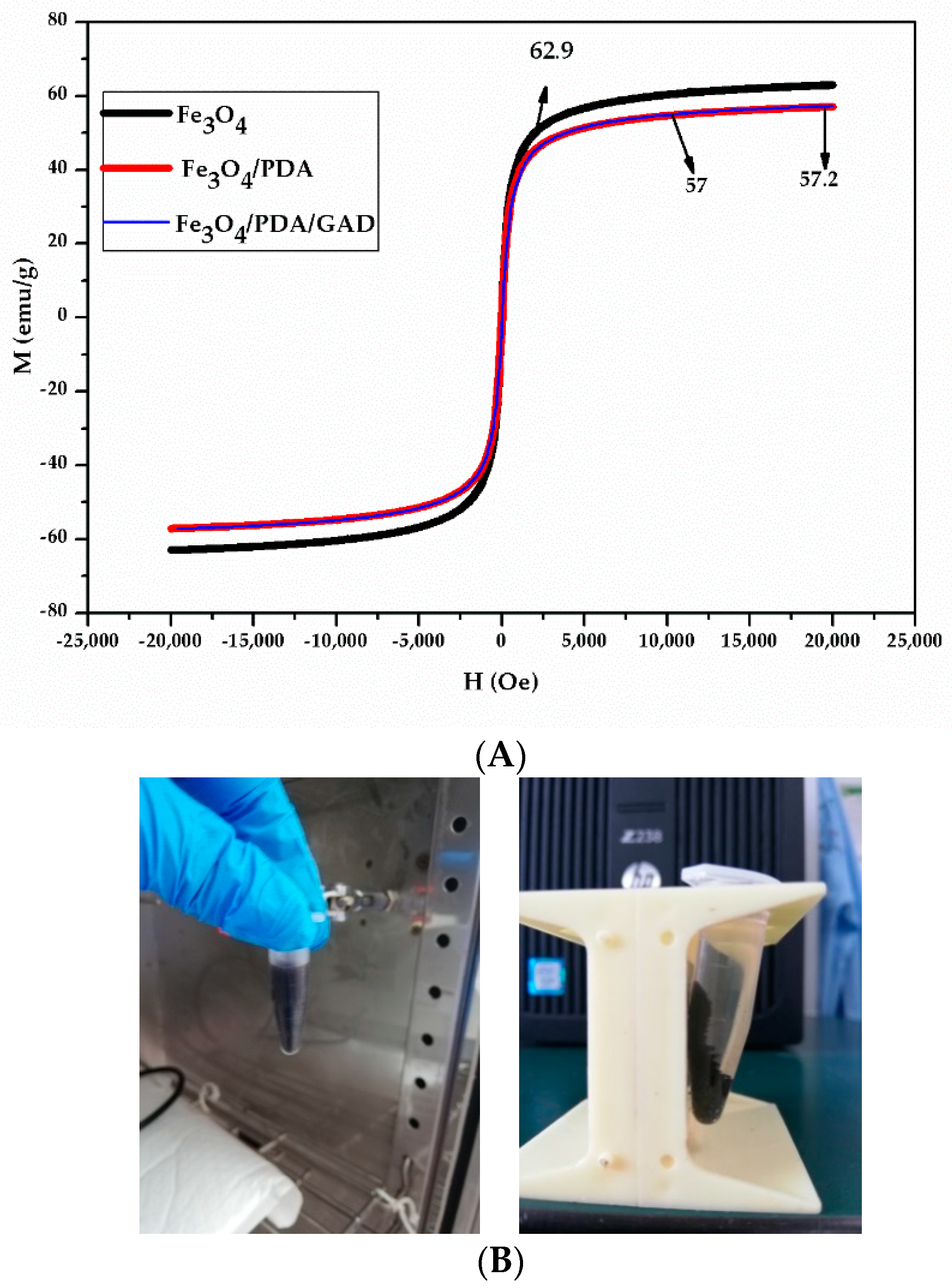 Catalysts 09 00969 g002 Catalysts 09 00969 g002