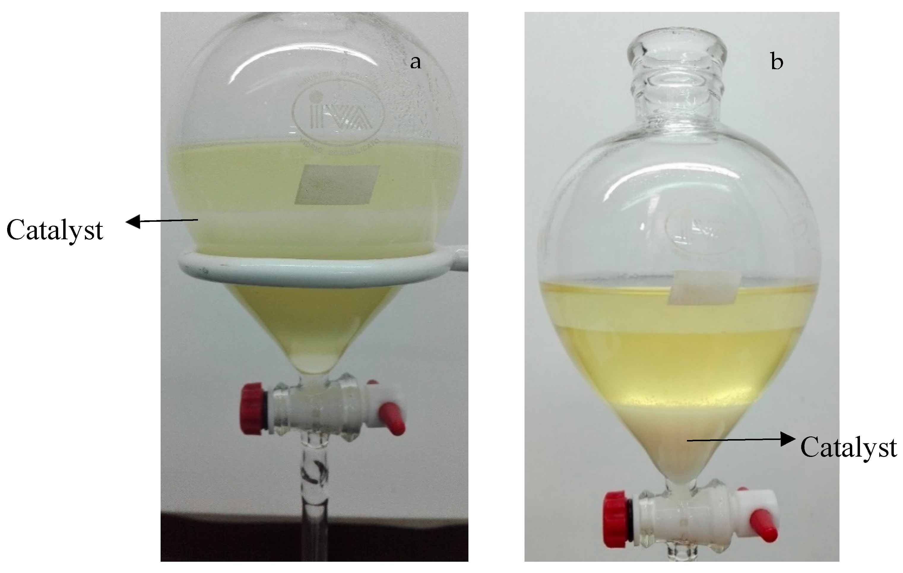 Catalysts 09 00978 g002 550