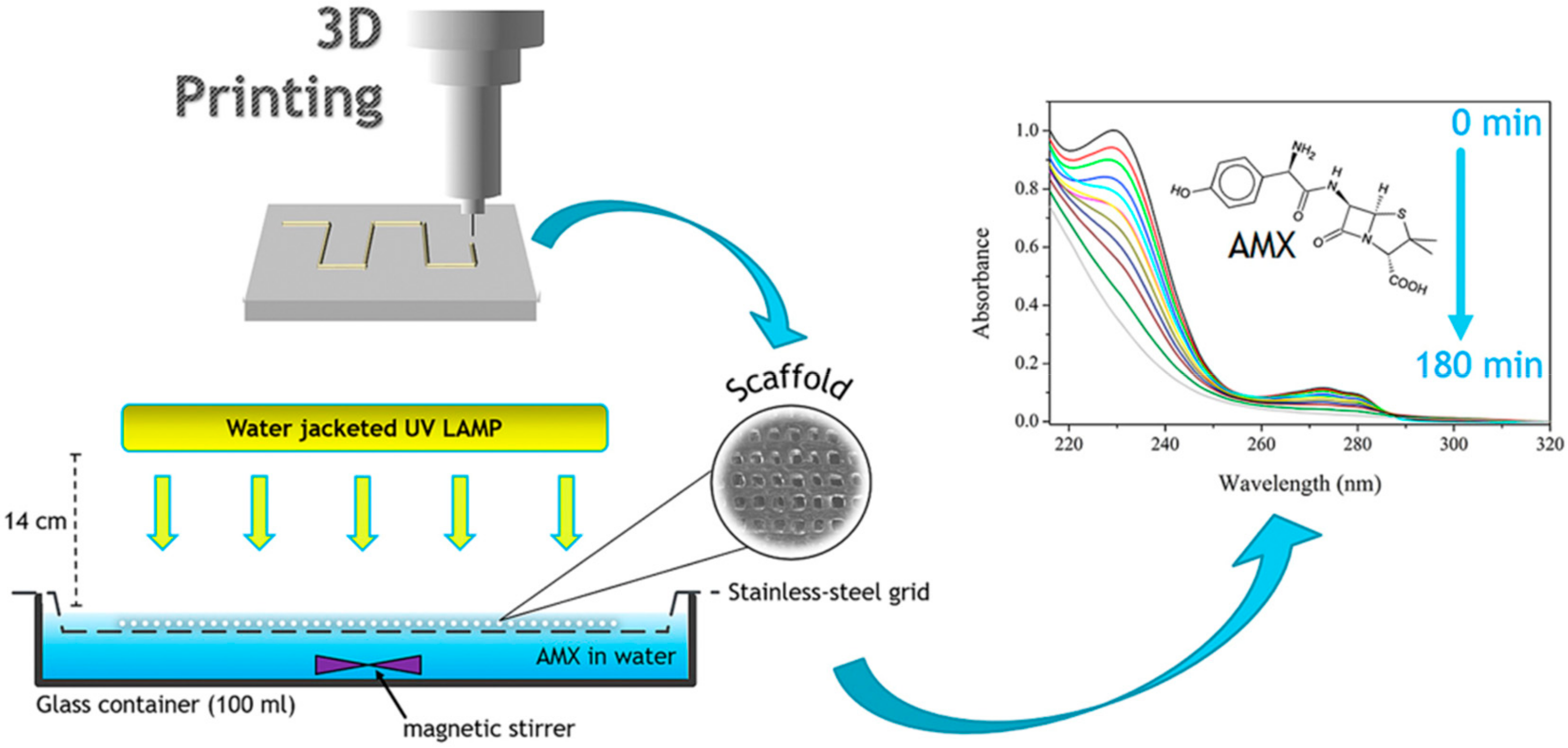 Catalysts 09 00986 g004