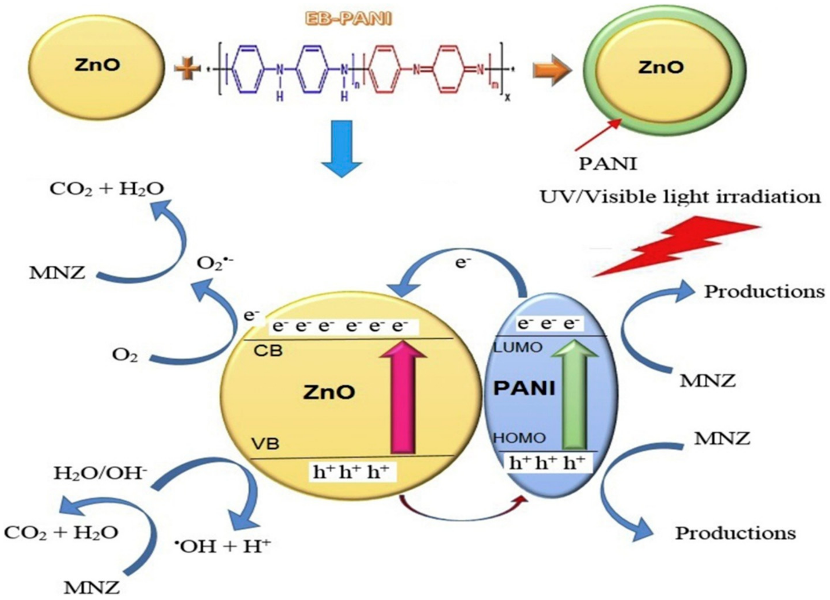 Catalysts 09 00986 g006