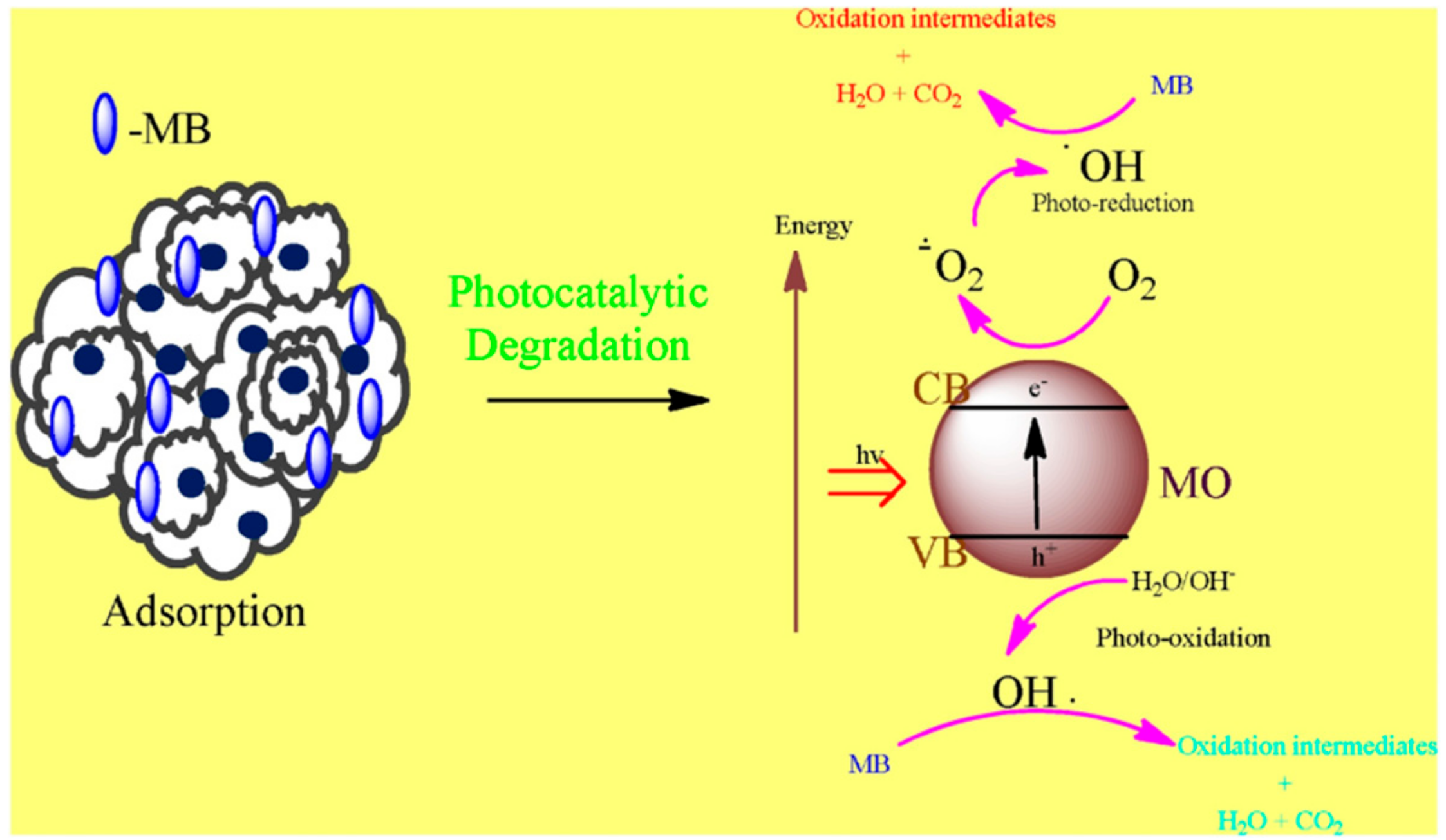 Catalysts 09 00986 g007