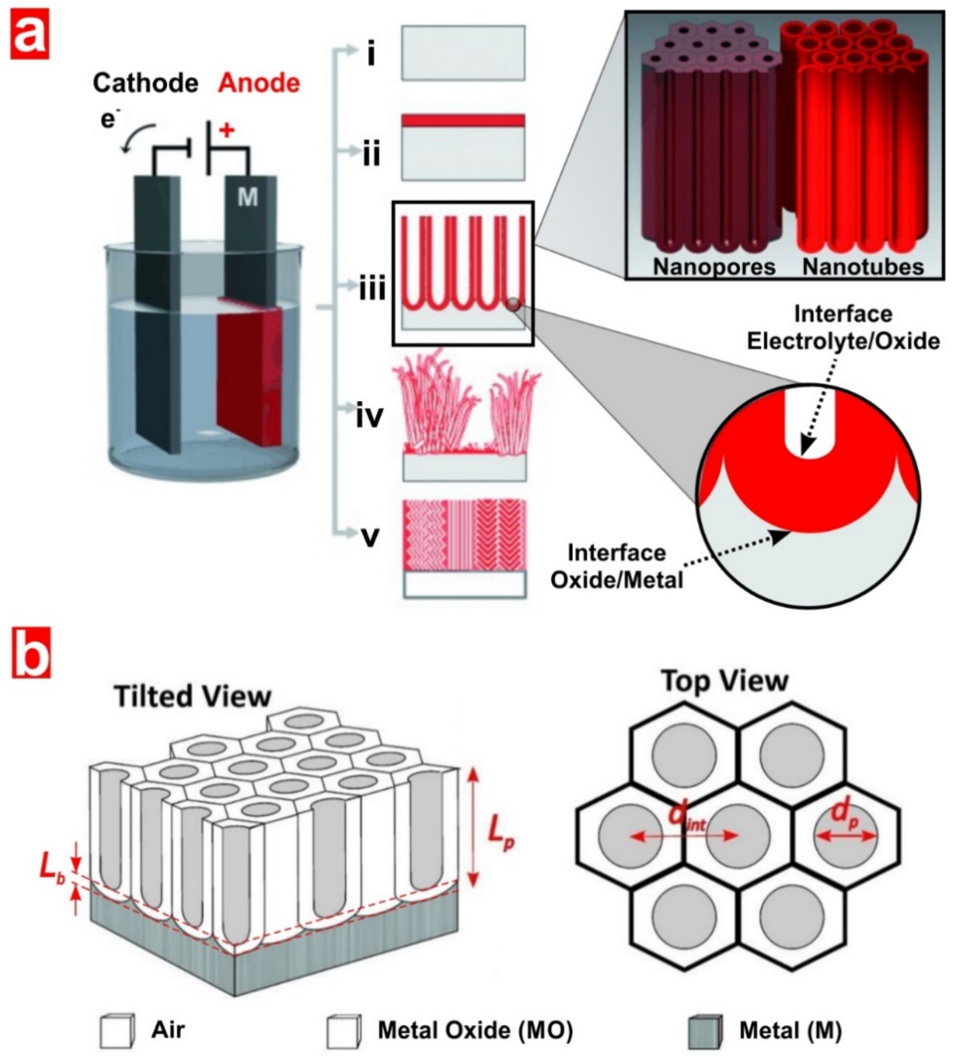 Catalysts 09 00988 g002
