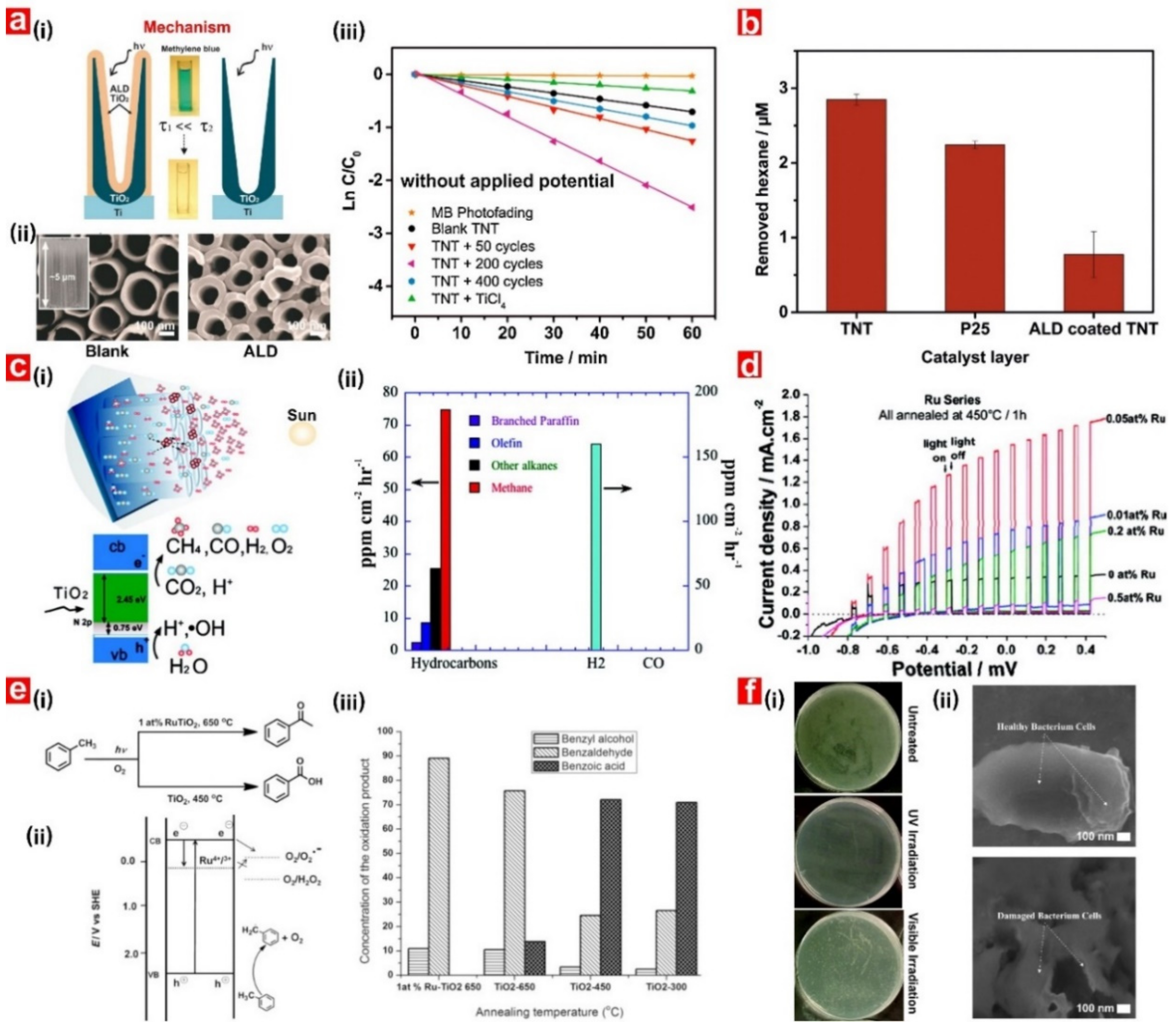 Catalysts 09 00988 g006