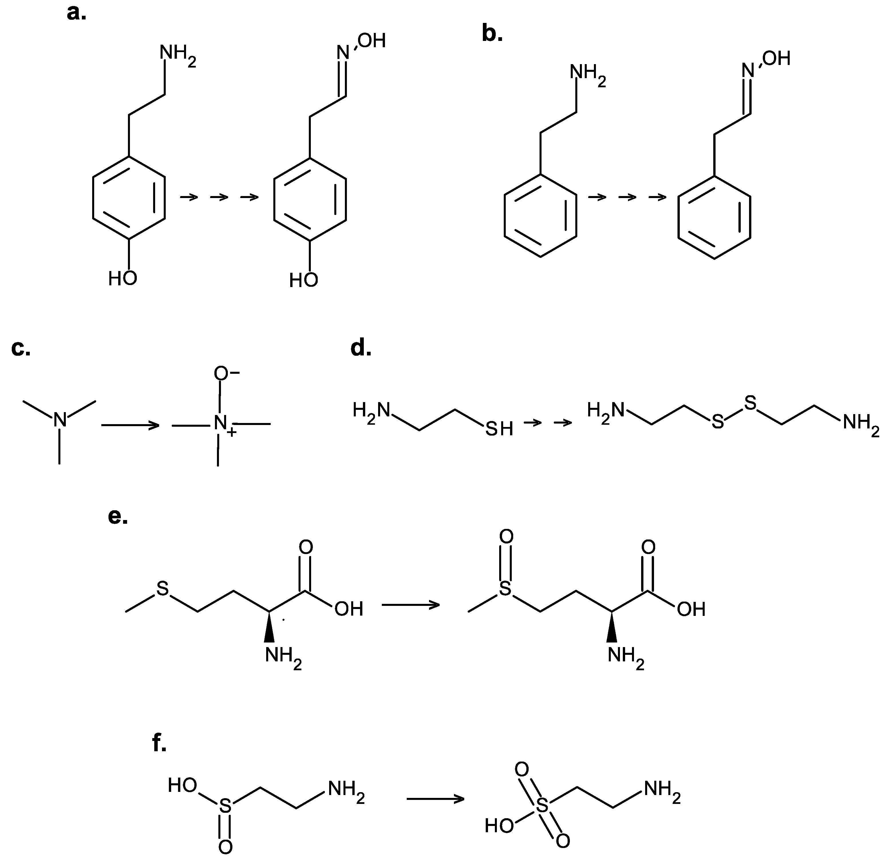 Catalysts 09 01001 g002