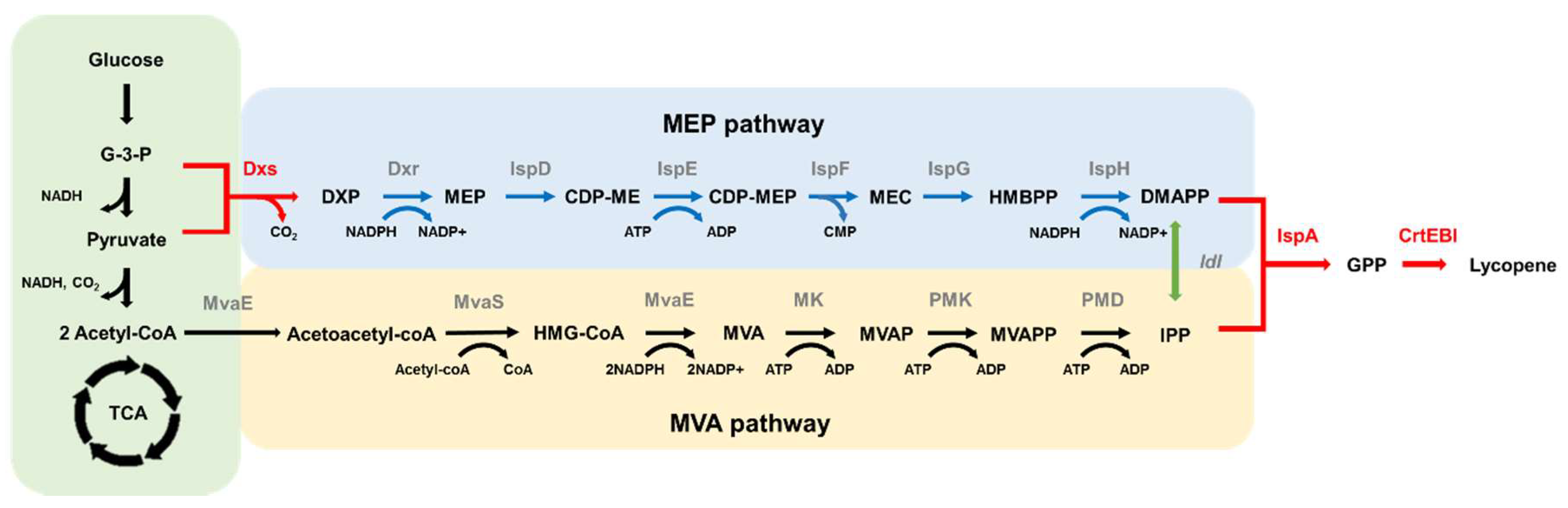 Catalysts 09 01003 g001 Catalysts 09 01003 g001