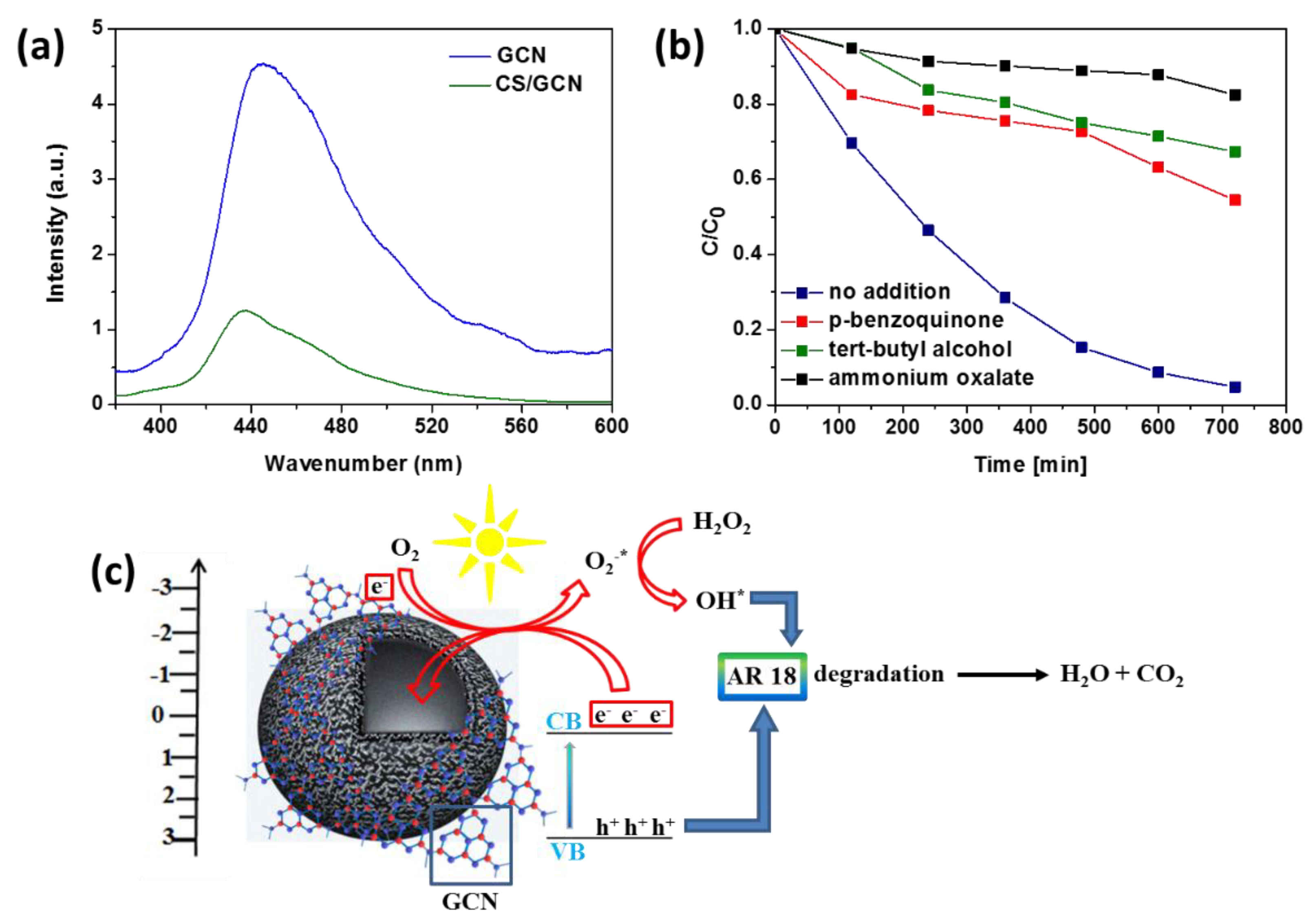 Catalysts 09 01007 g010