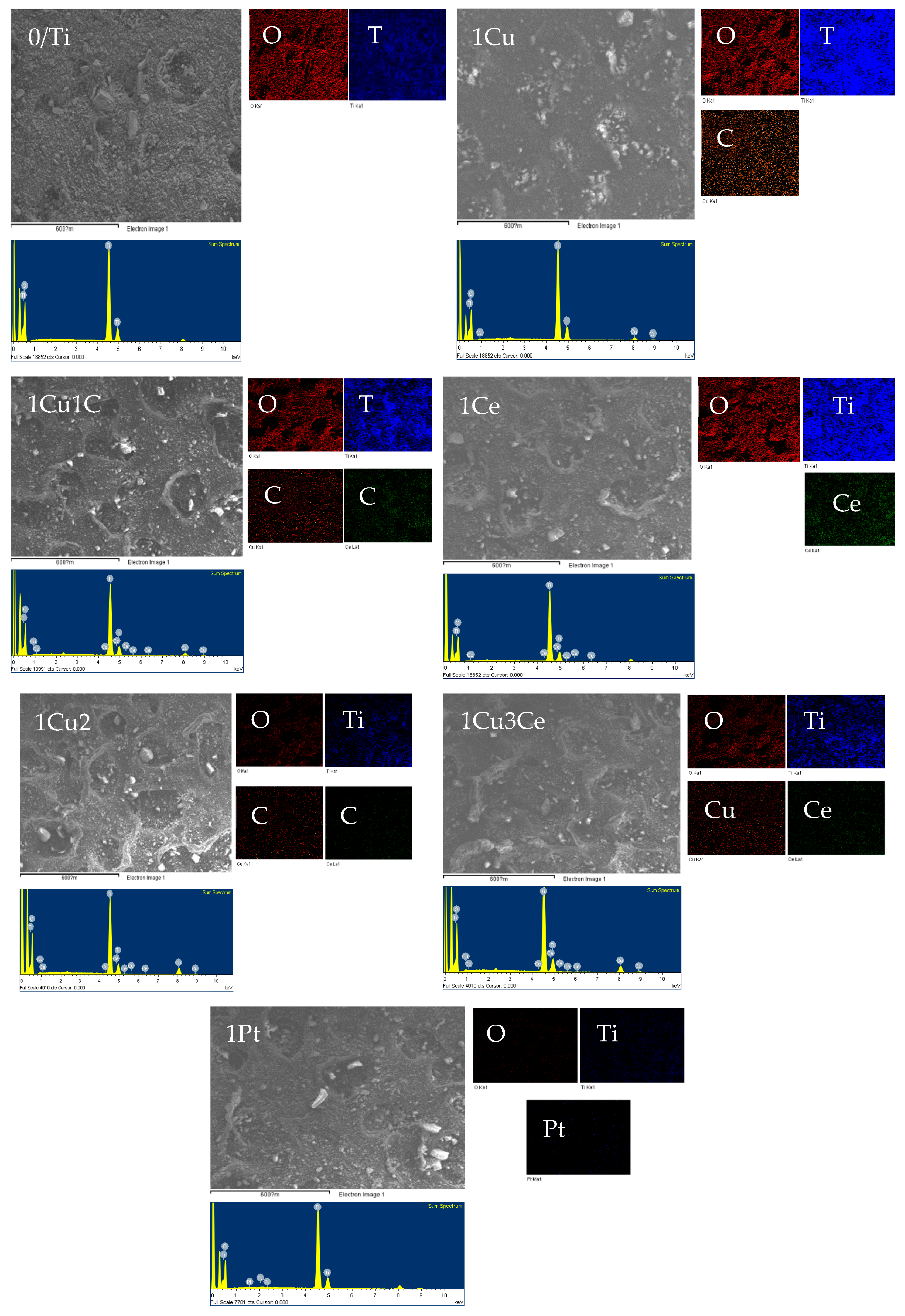 Catalysts 09 01010 g002 Catalysts 09 01010 g002
