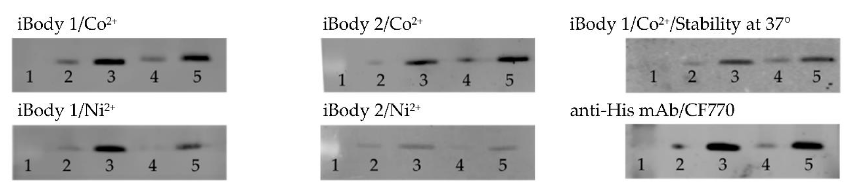 Catalysts 09 01011 g004
