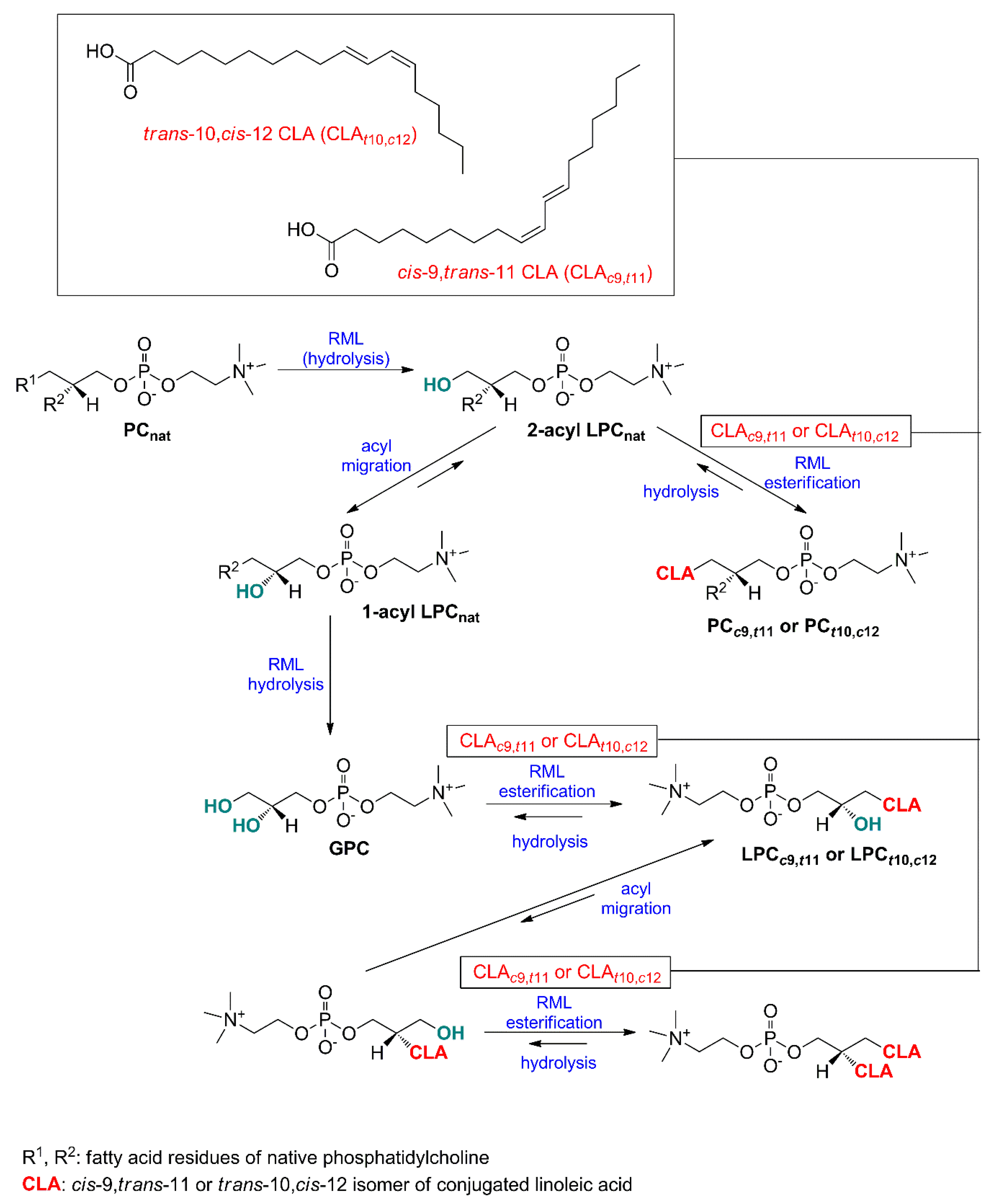 Catalysts 09 01012 g001 Catalysts 09 01012 g001