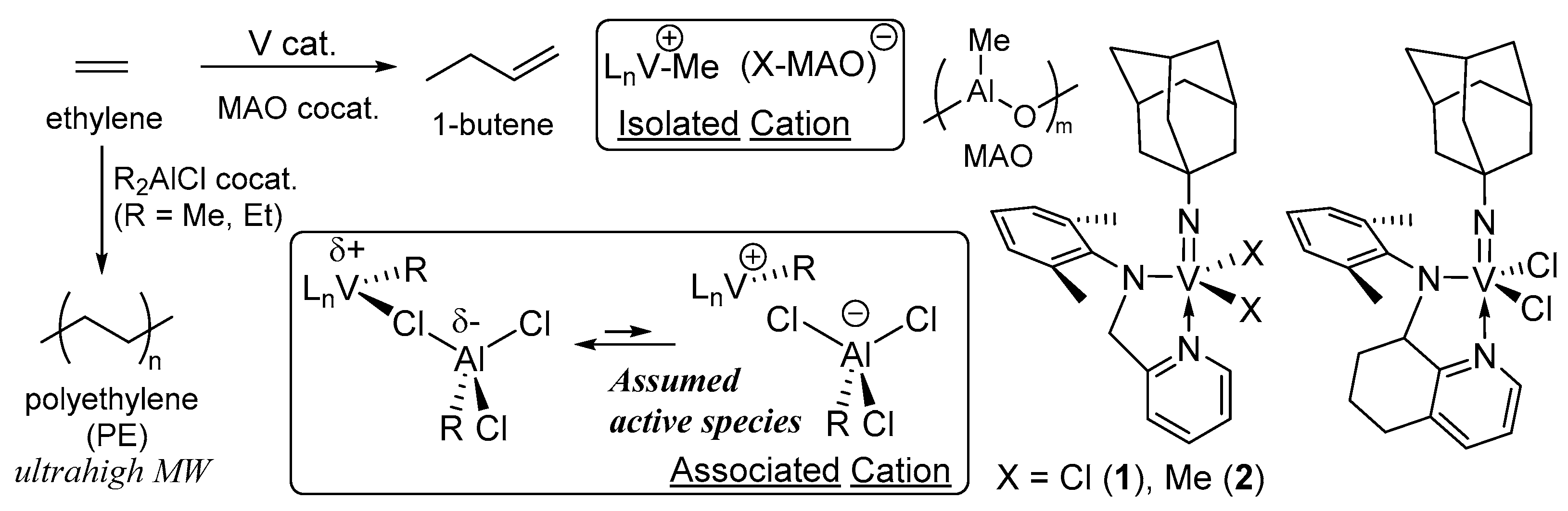 Catalysts Free Full Text Solution X Ray Absorption Spectroscopy Xas For Analysis Of Catalytically Active Species In Reactions With Ethylene By Homogeneous Imido Vanadium V Complexes Al Cocatalyst Systems Html Catalysts Free Full Text Solution X Ray Absorption Spectroscopy Xas For Analysis Of Catalytically Active Species In Reactions With Ethylene By Homogeneous Imido Vanadium V Complexes Al Cocatalyst Systems Html