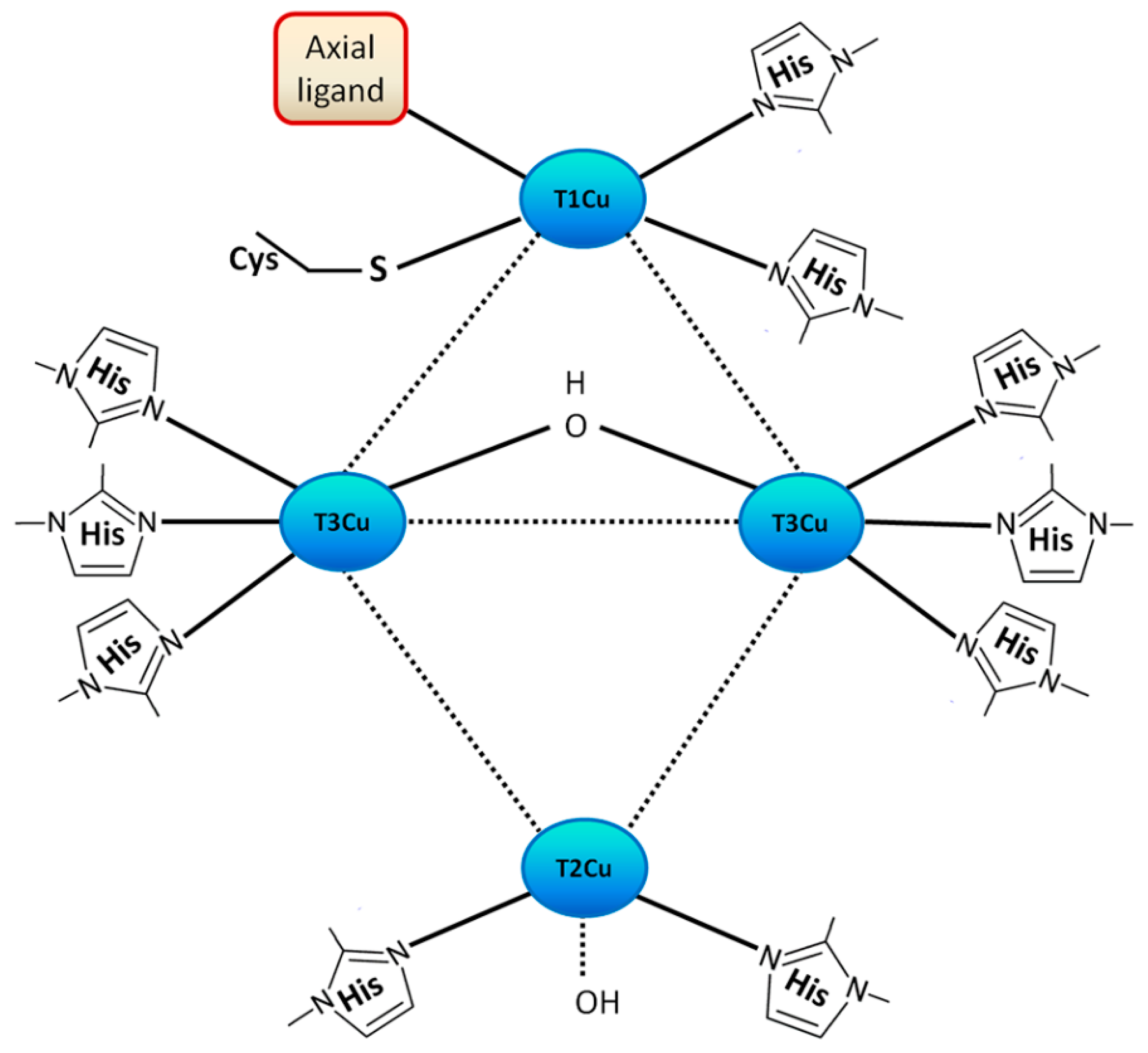 Catalysts 09 01023 g001