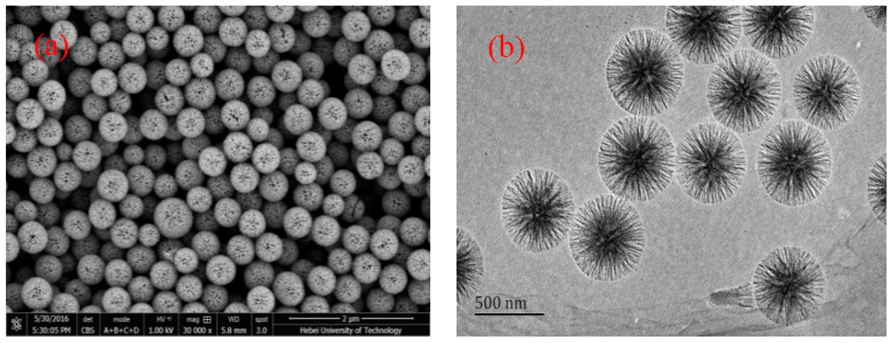 Catalysts 09 01026 g001 Catalysts 09 01026 g001