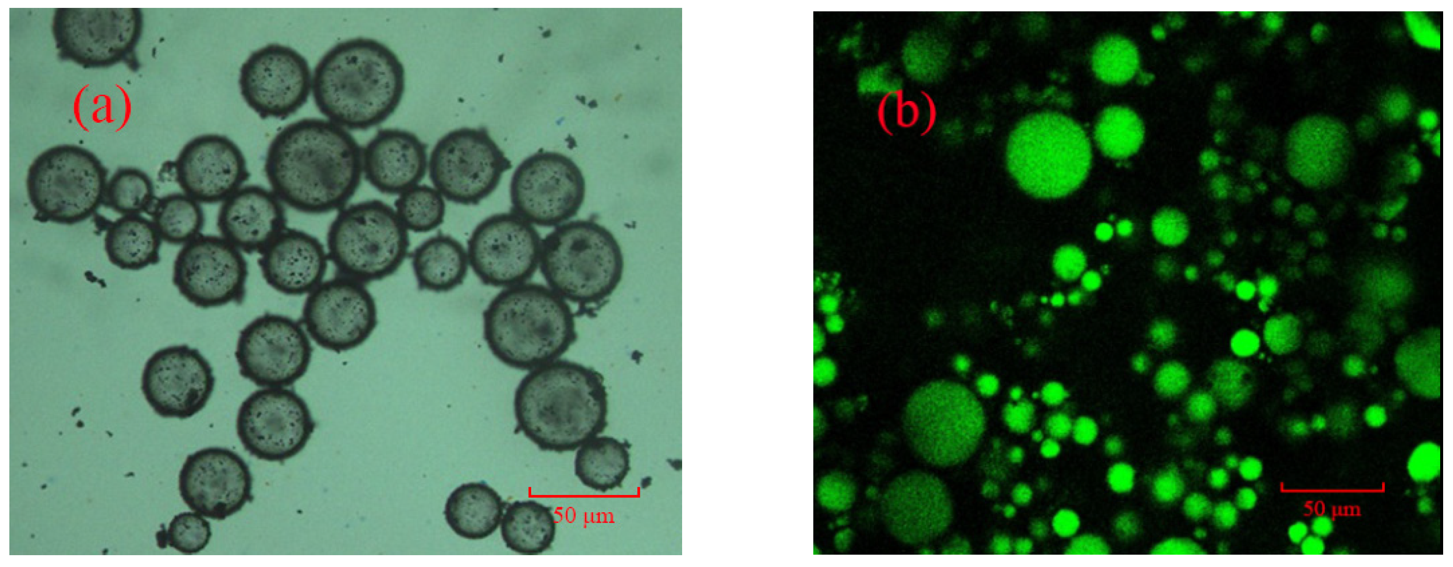 Catalysts 09 01026 g004 Catalysts 09 01026 g004