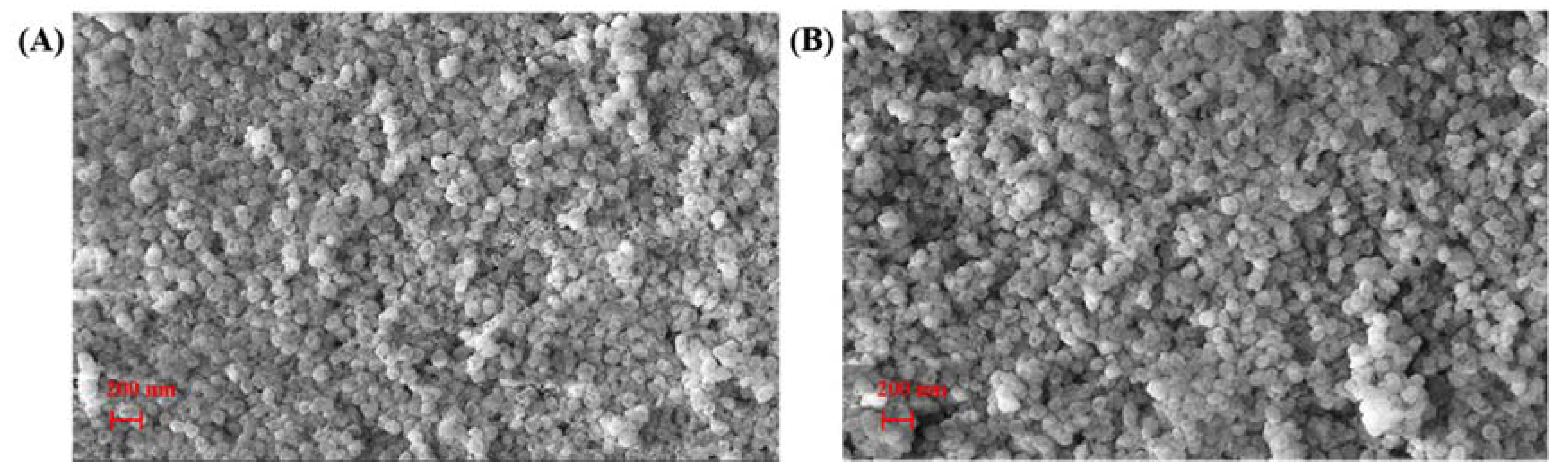 Catalysts 09 01027 g003