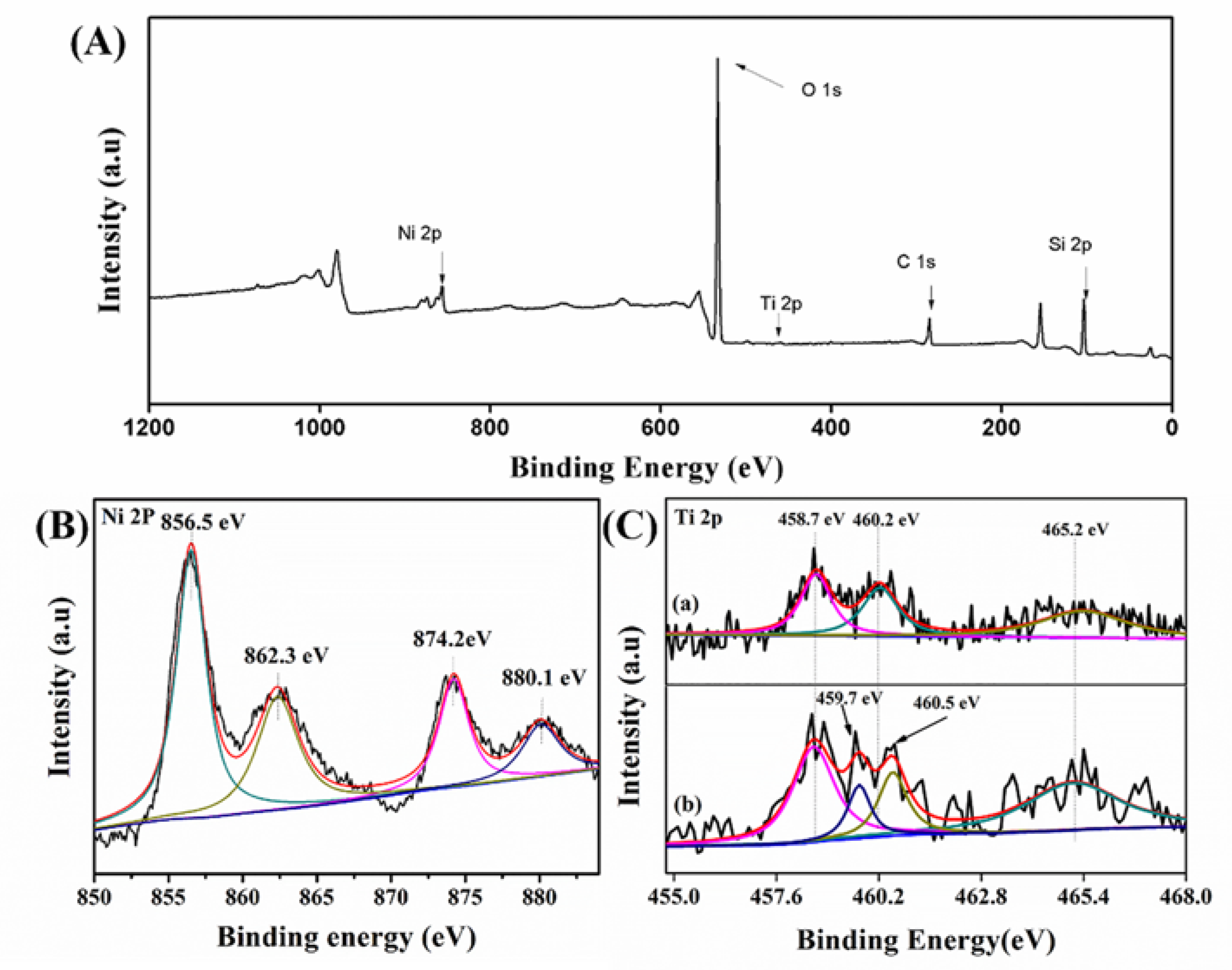 Catalysts 09 01027 g006