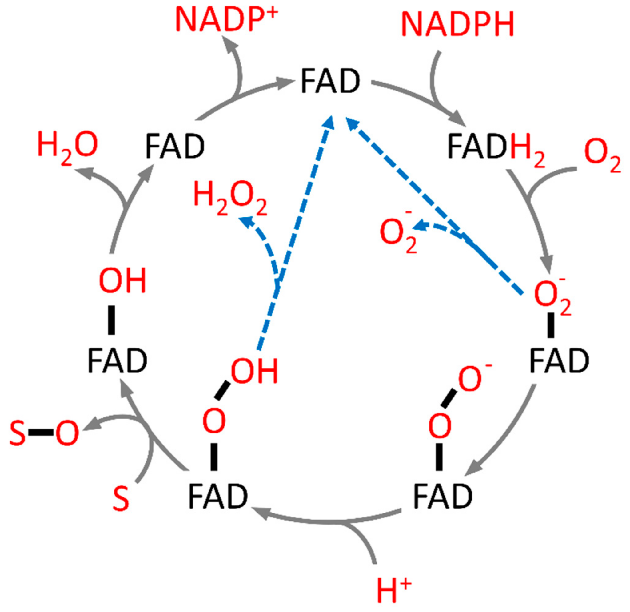Catalysts 09 01028 g002 Catalysts 09 01028 g002