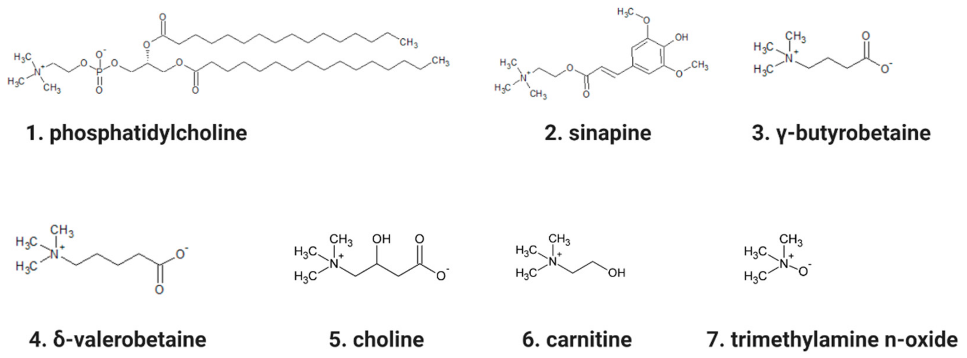 Catalysts 09 01028 g003 Catalysts 09 01028 g003